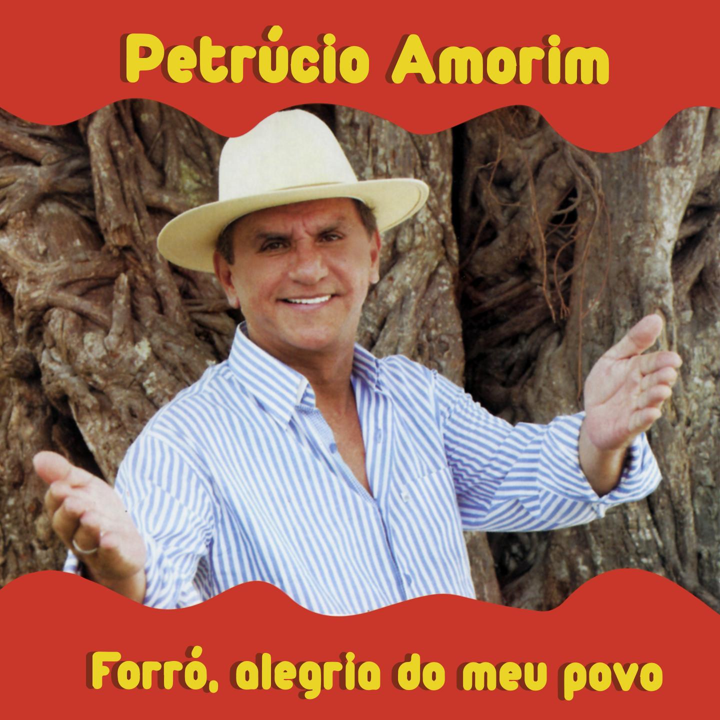 Постер альбома Forró, Alegria do Meu Povo