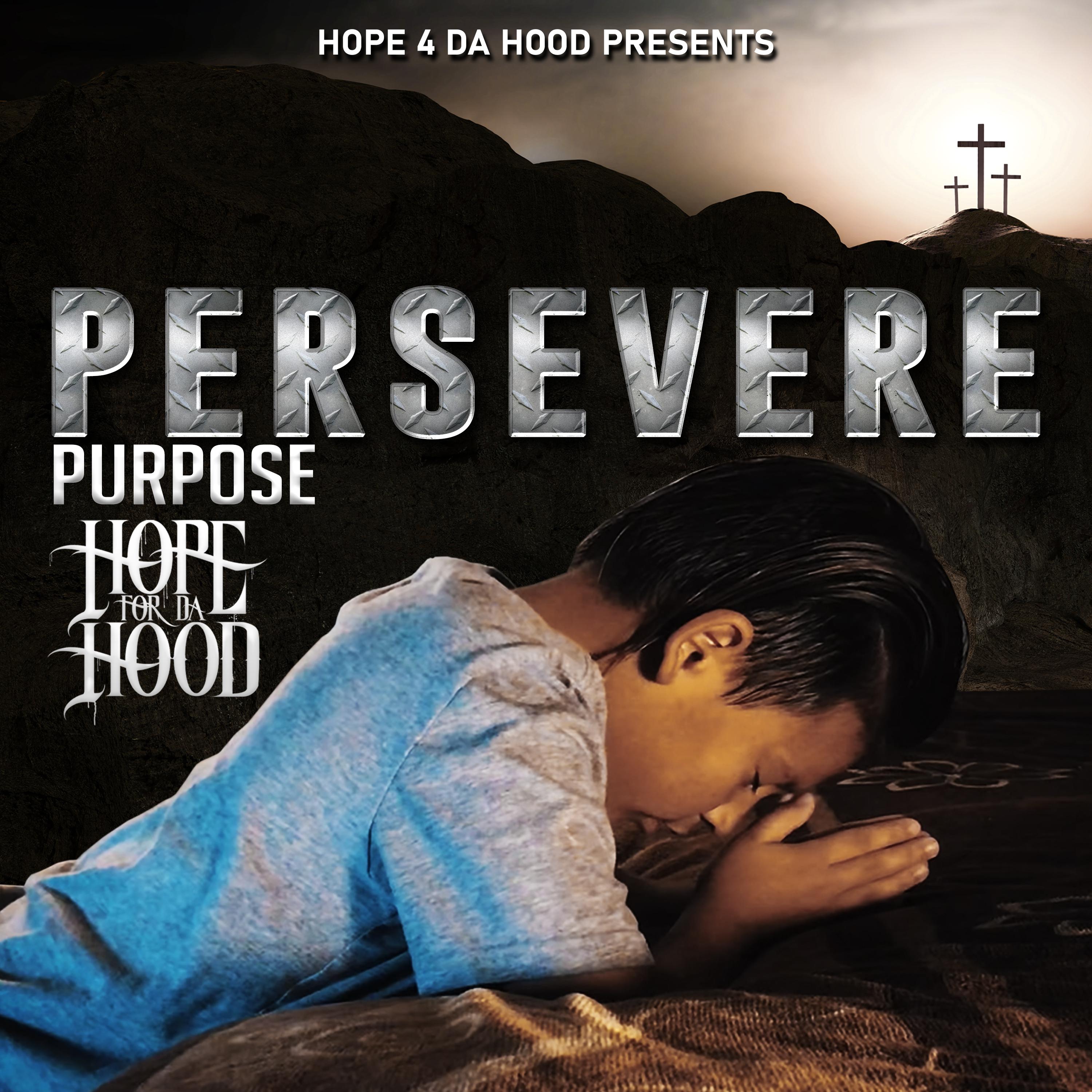 Постер альбома Persevere