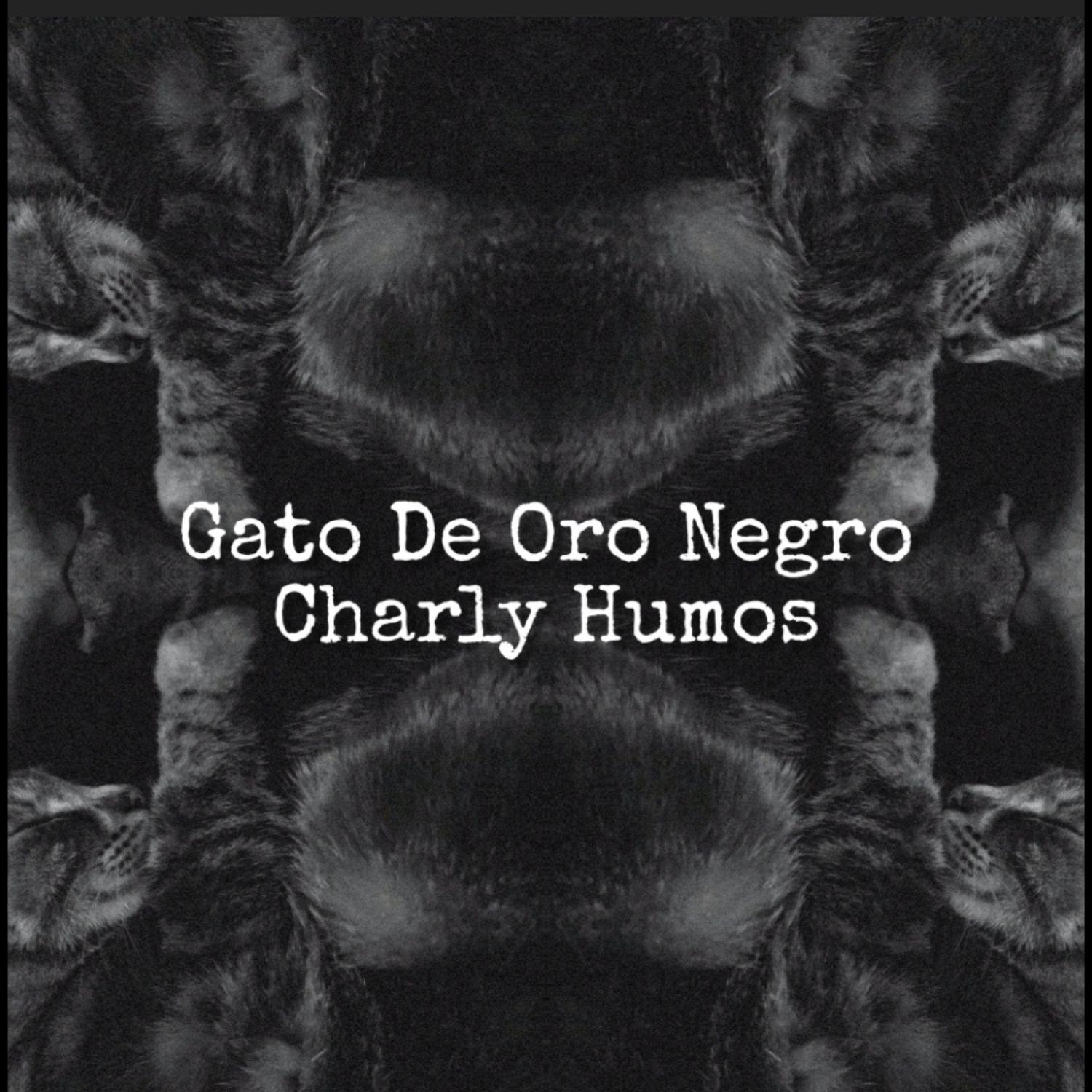 Постер альбома Gato De Oro Negro