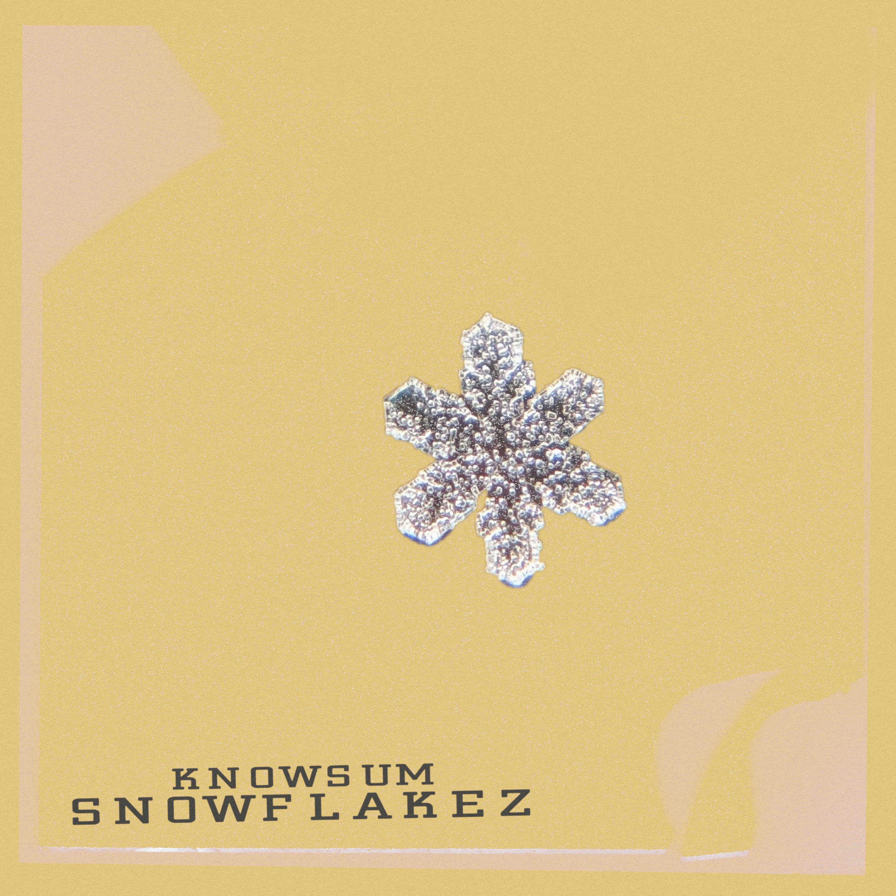 Постер альбома snowflakez