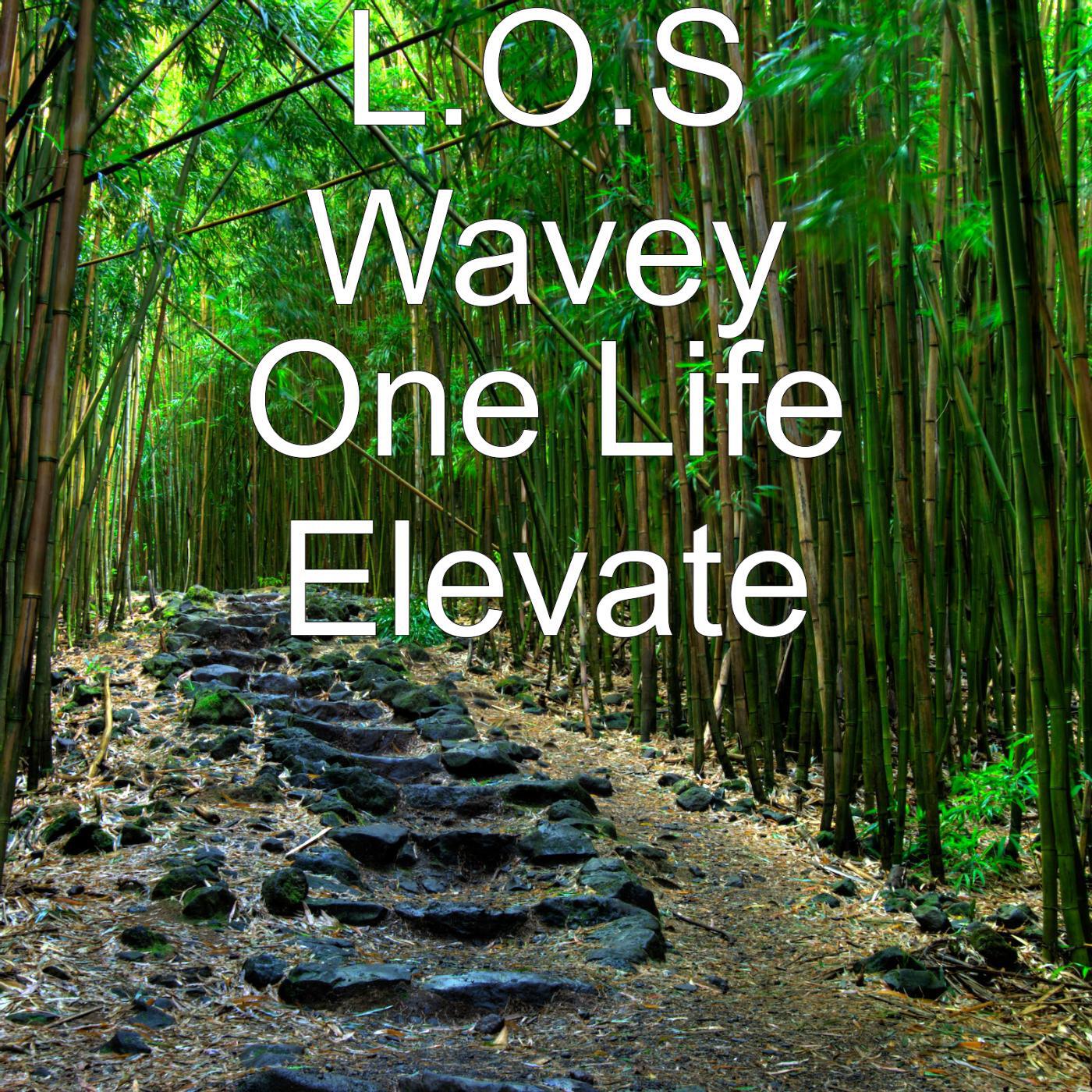 L.O.S Wavey - One Life Elevate