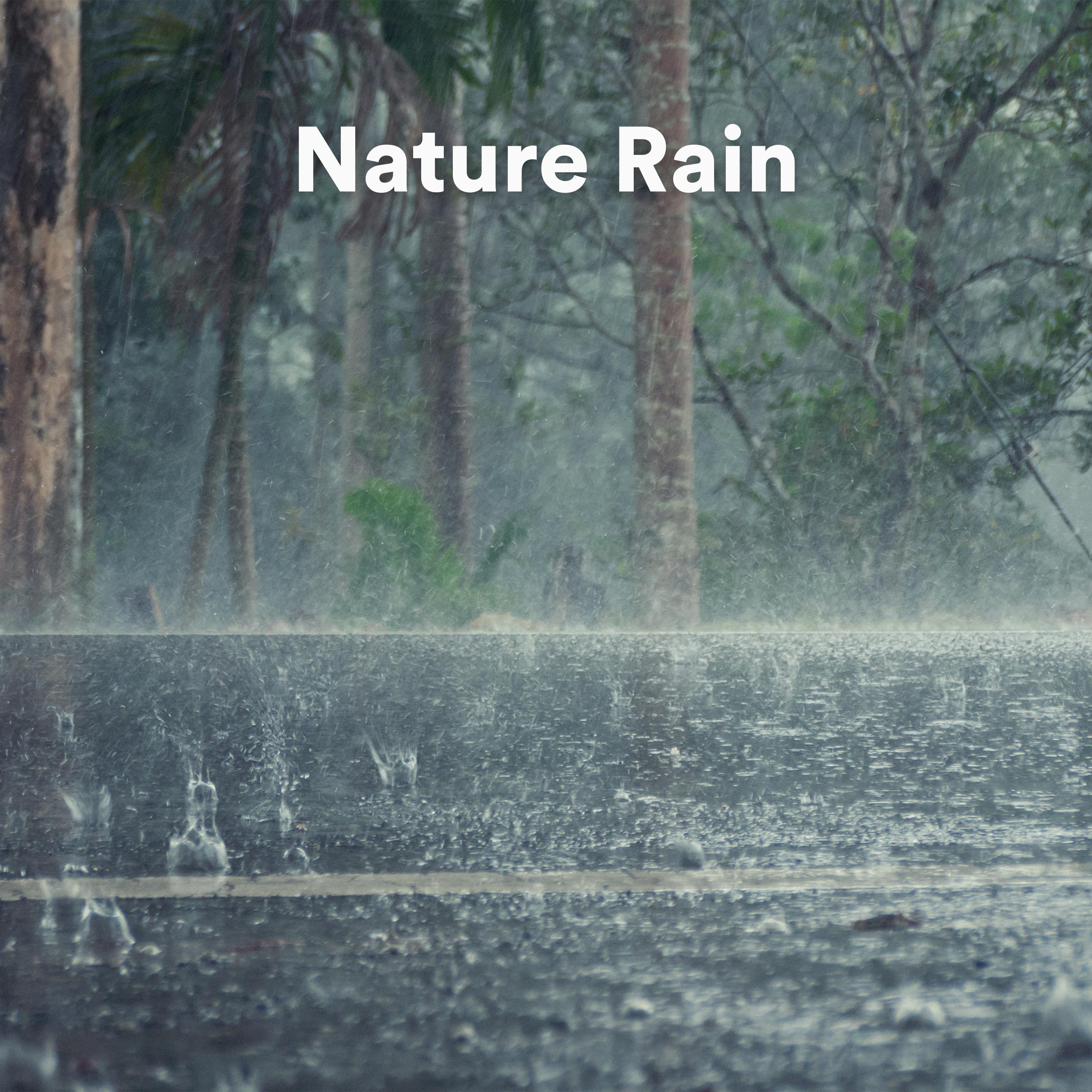 Постер альбома Nature Rain