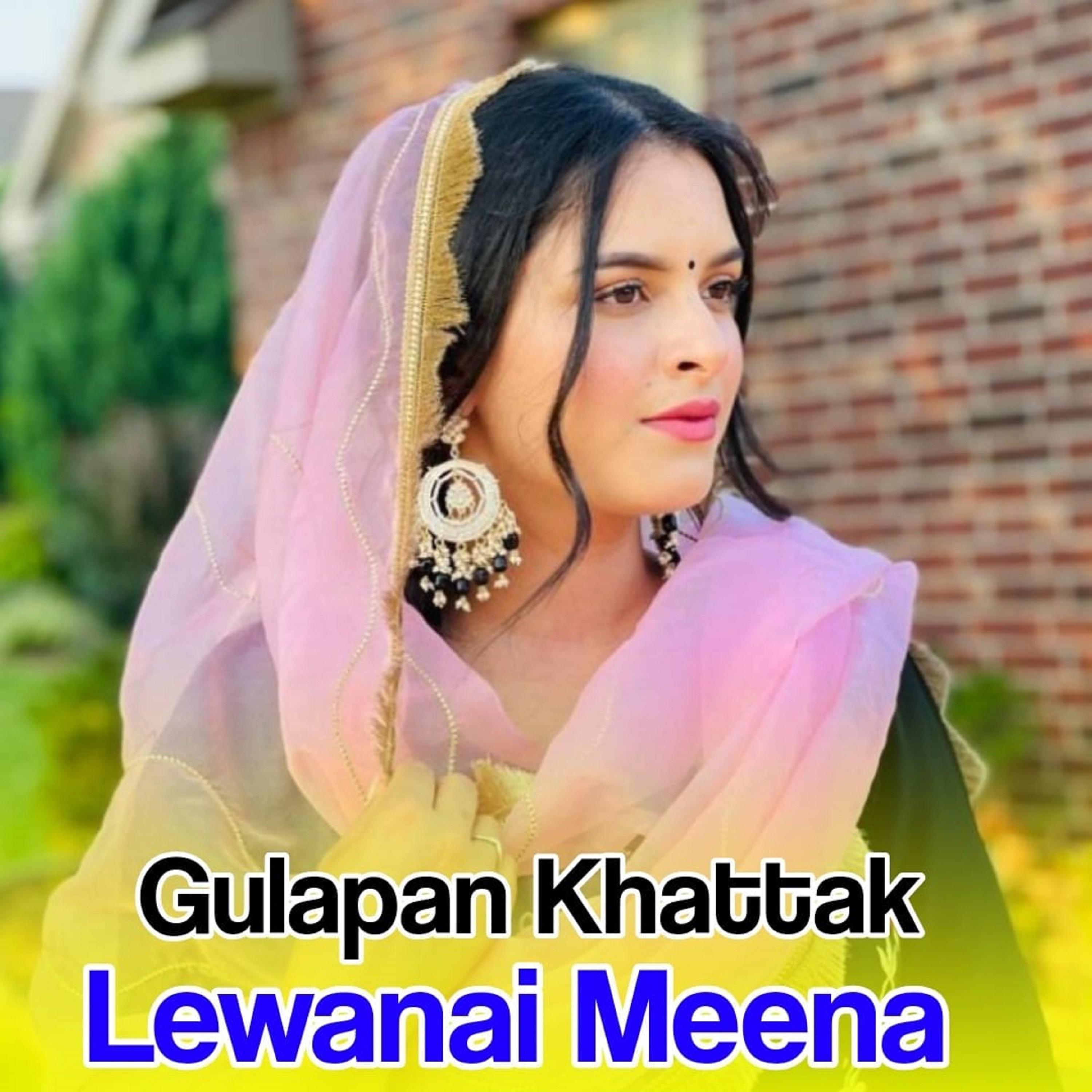 Постер альбома Lewanai Meena