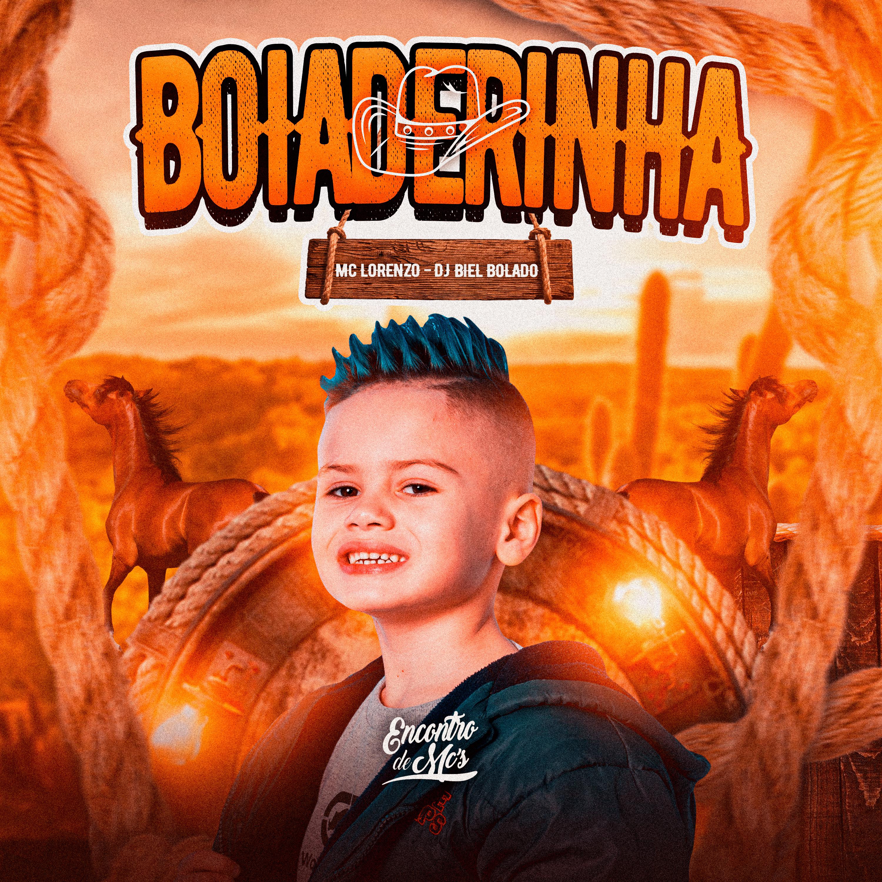 Постер альбома Boiaderinha