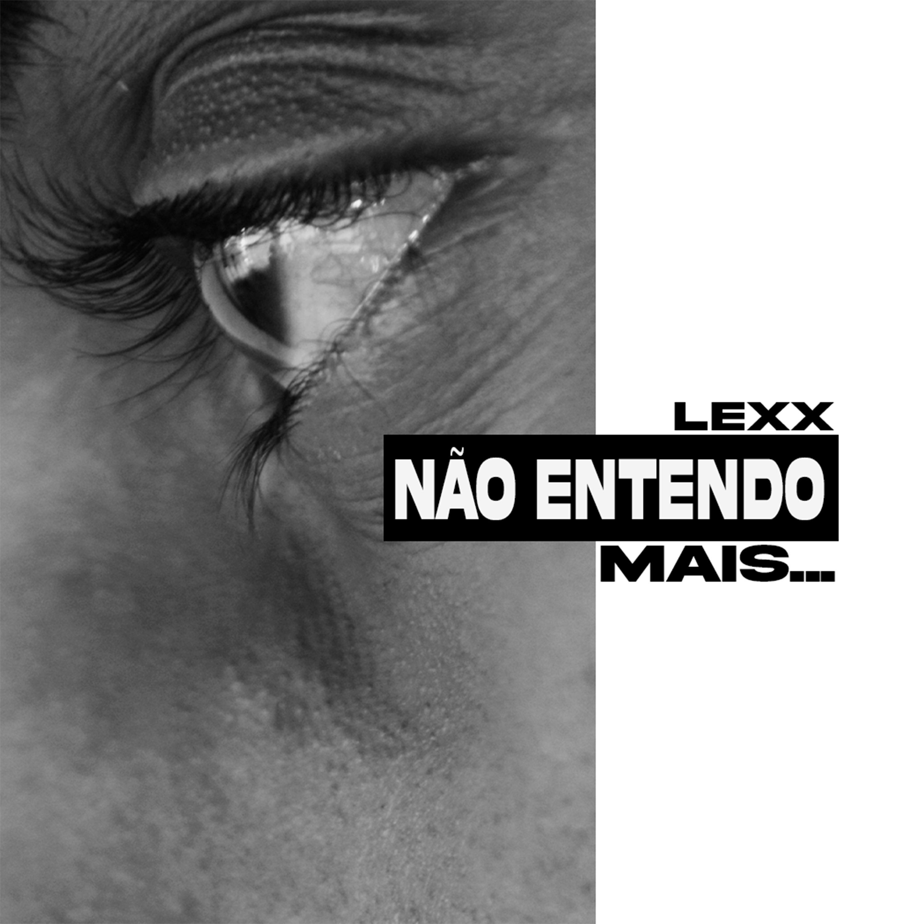 Постер альбома Não Entendo Mais