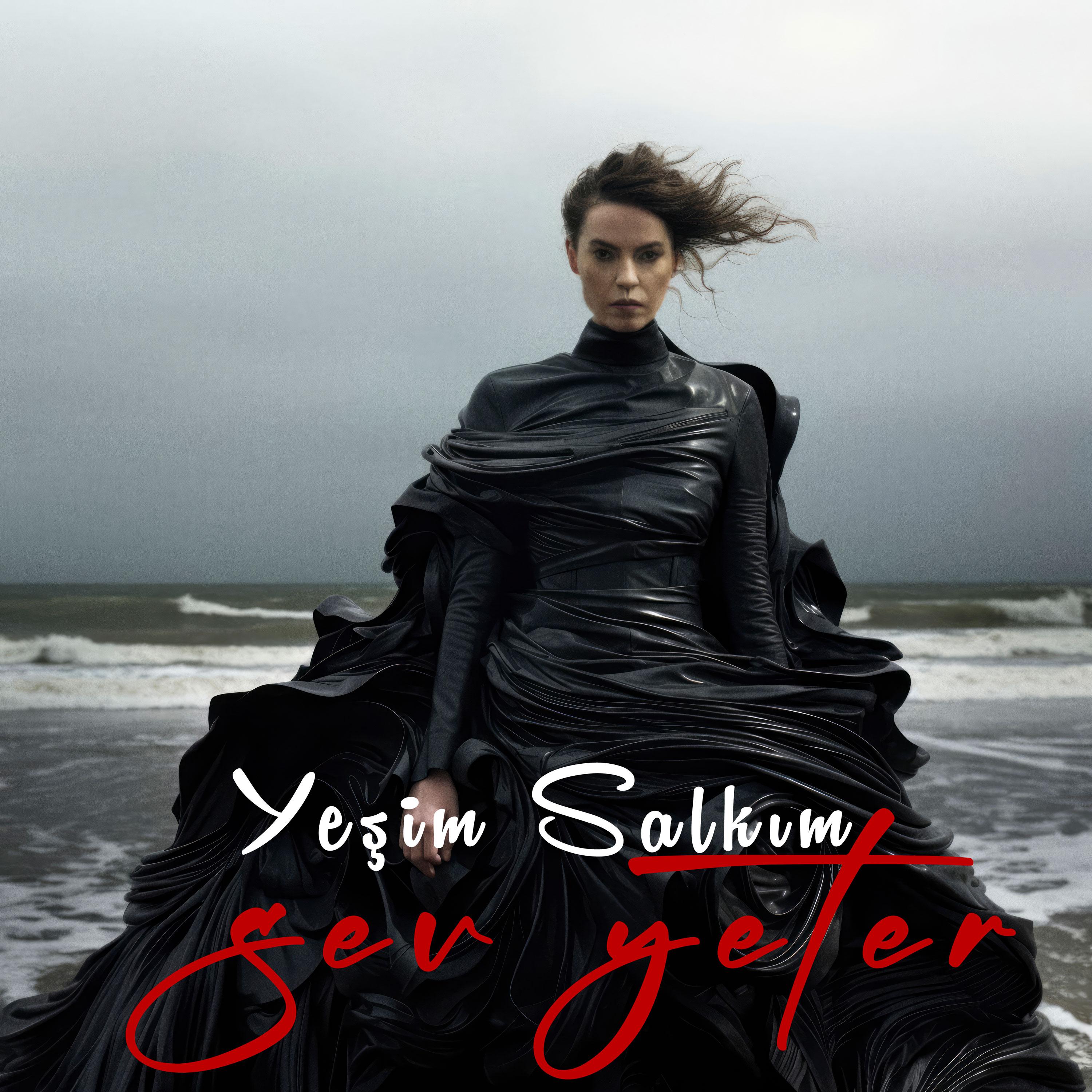 Постер альбома Sev Yeter
