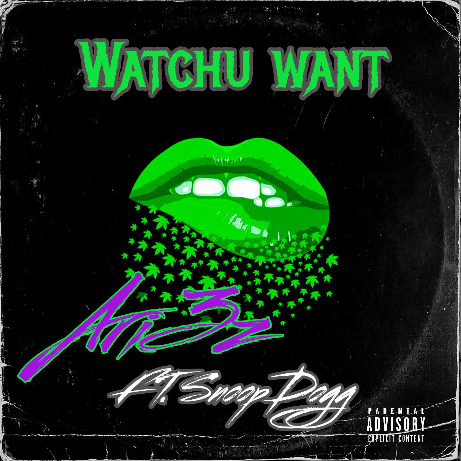 Постер альбома Watchu want (feat. Snoop Dogg)