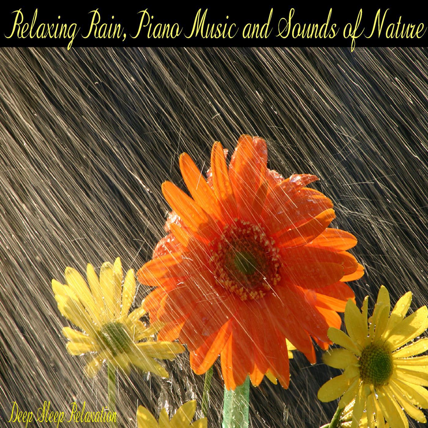 Постер альбома Relaxing Rain, Piano Music and Sounds of Nature