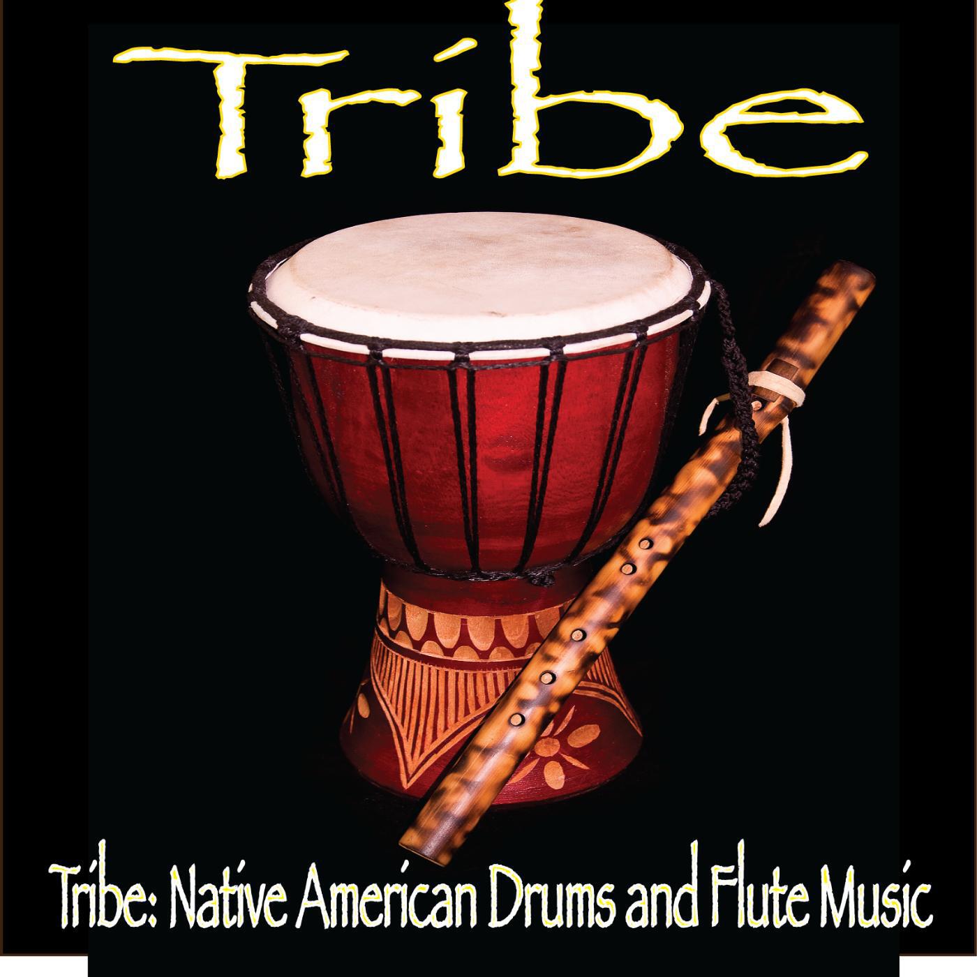 Tribe: Native American Drums and Flute Music - Serenity - The Vision