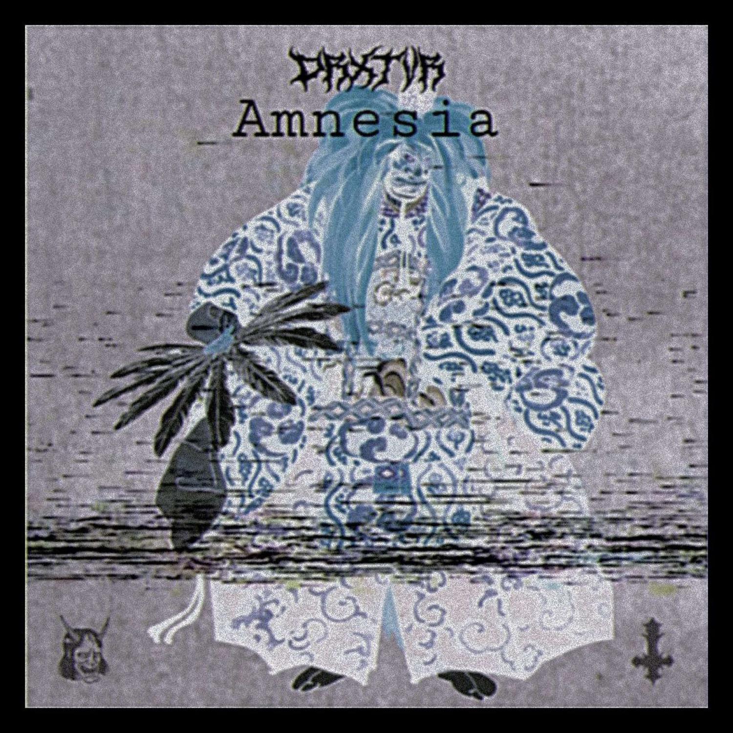 Постер альбома Amnesia (slowed remix)