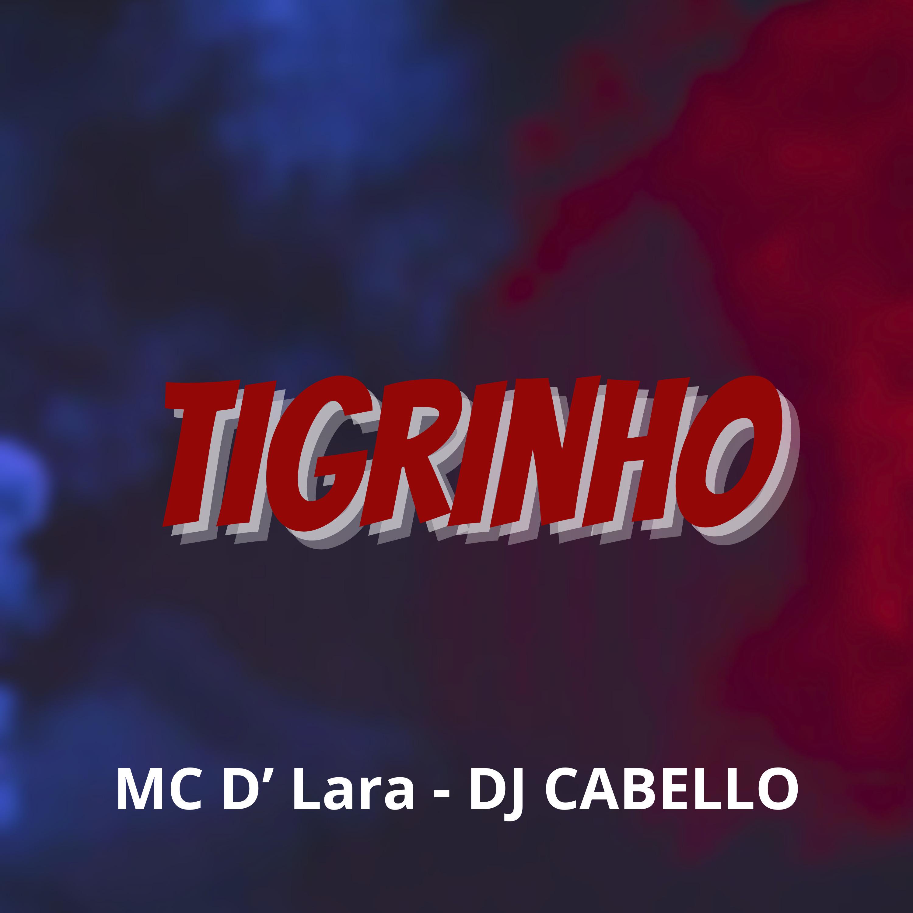 Постер альбома Tigrinho
