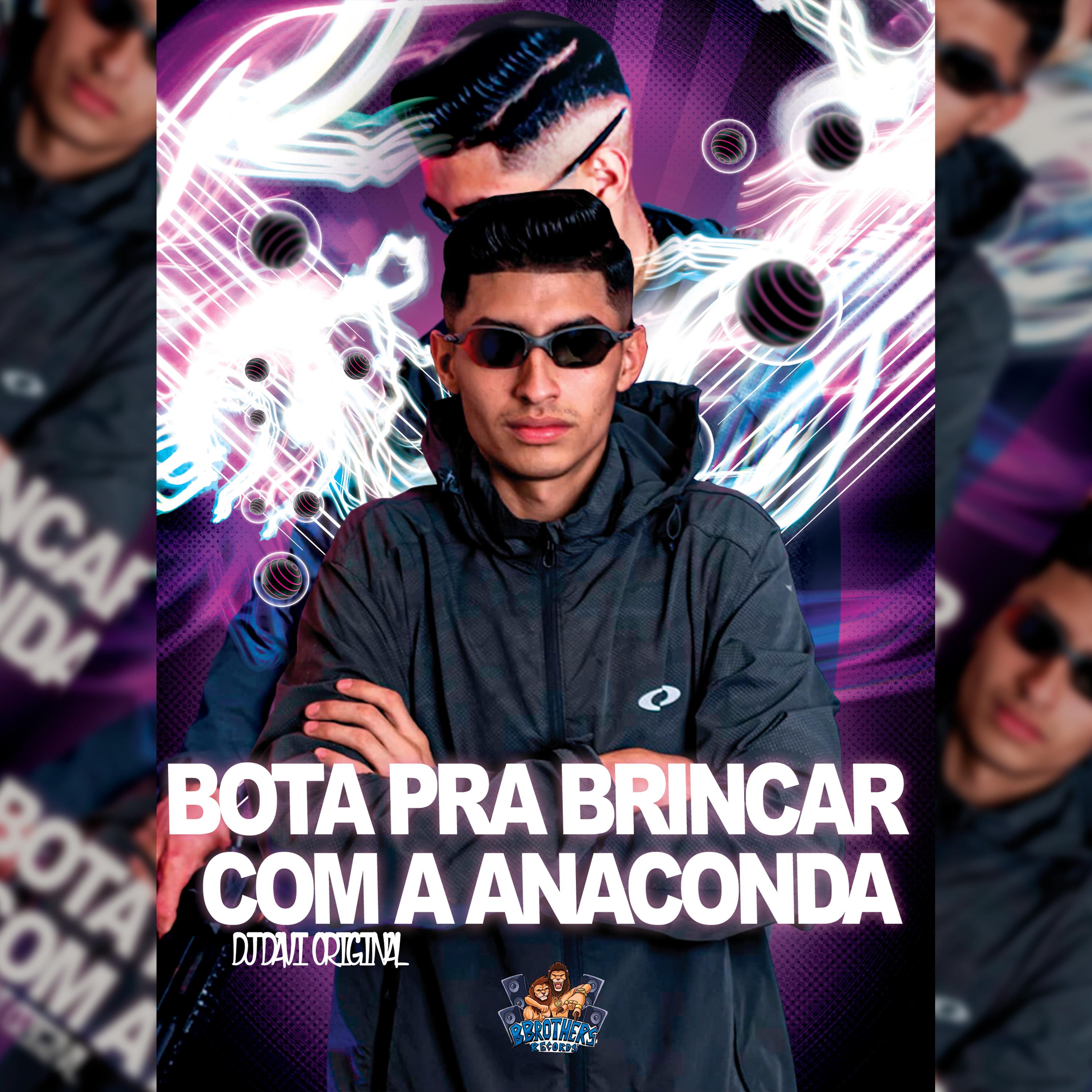 Постер альбома Bota pra Brincar Com a Anaconda