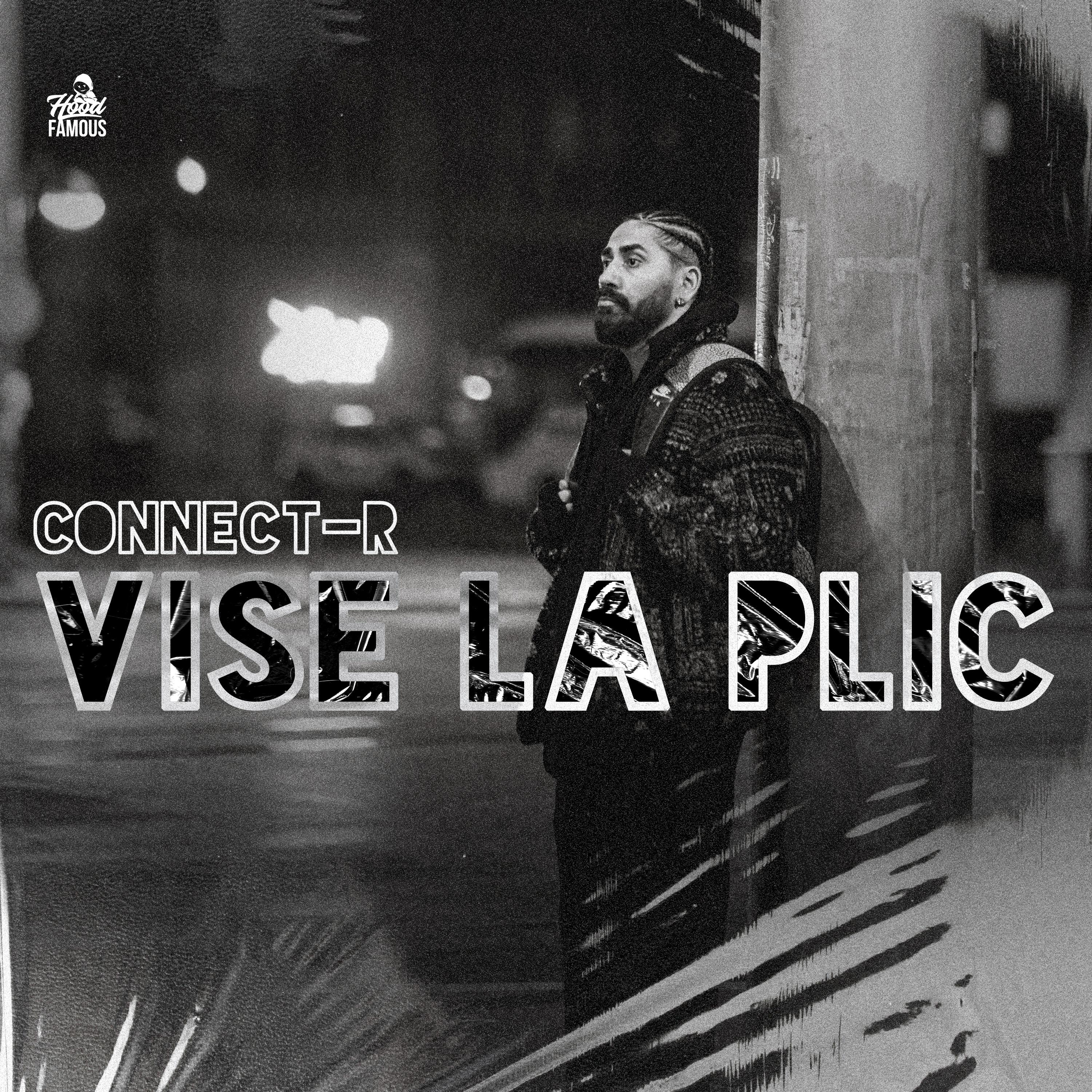 Постер альбома Vise La Plic