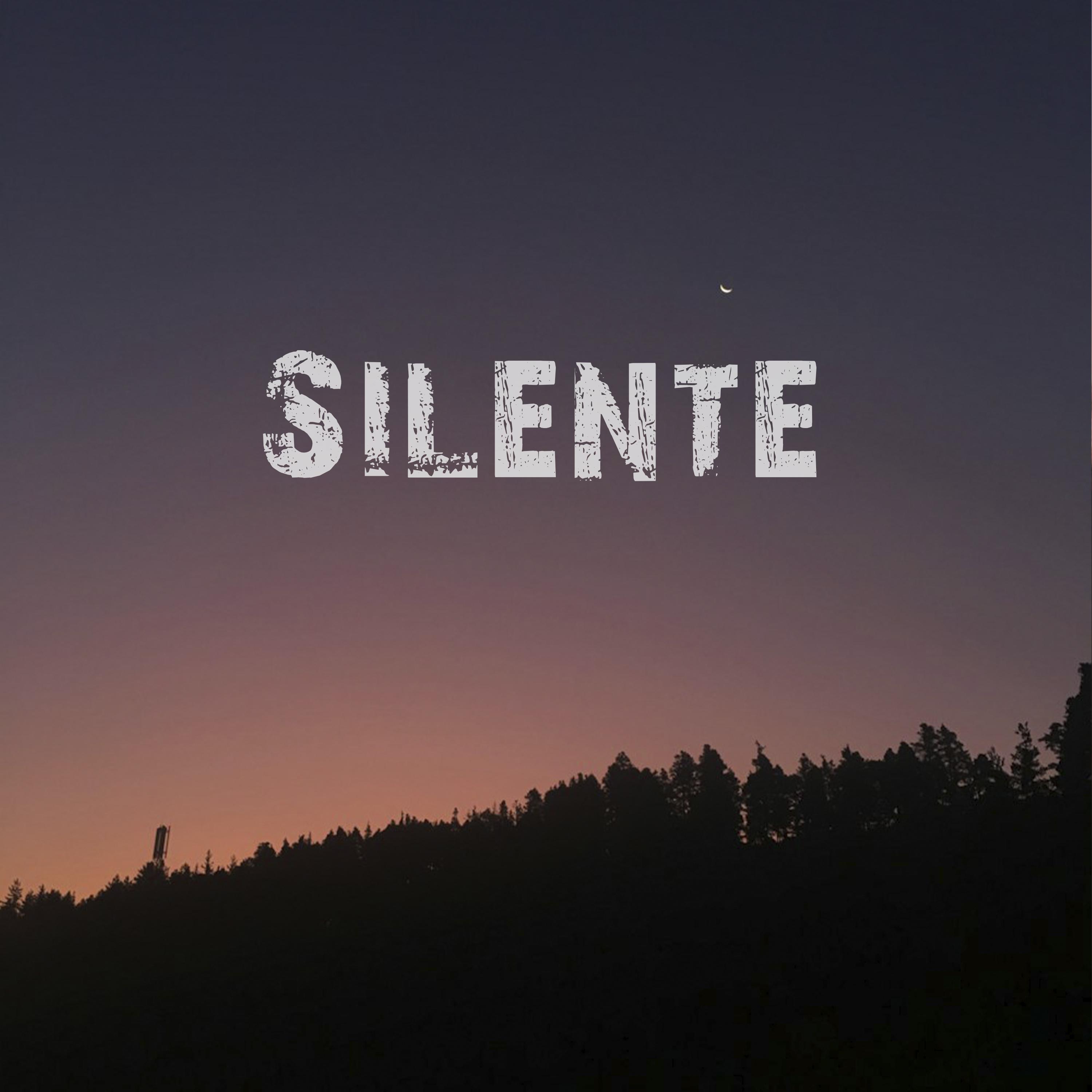 Постер альбома Silente