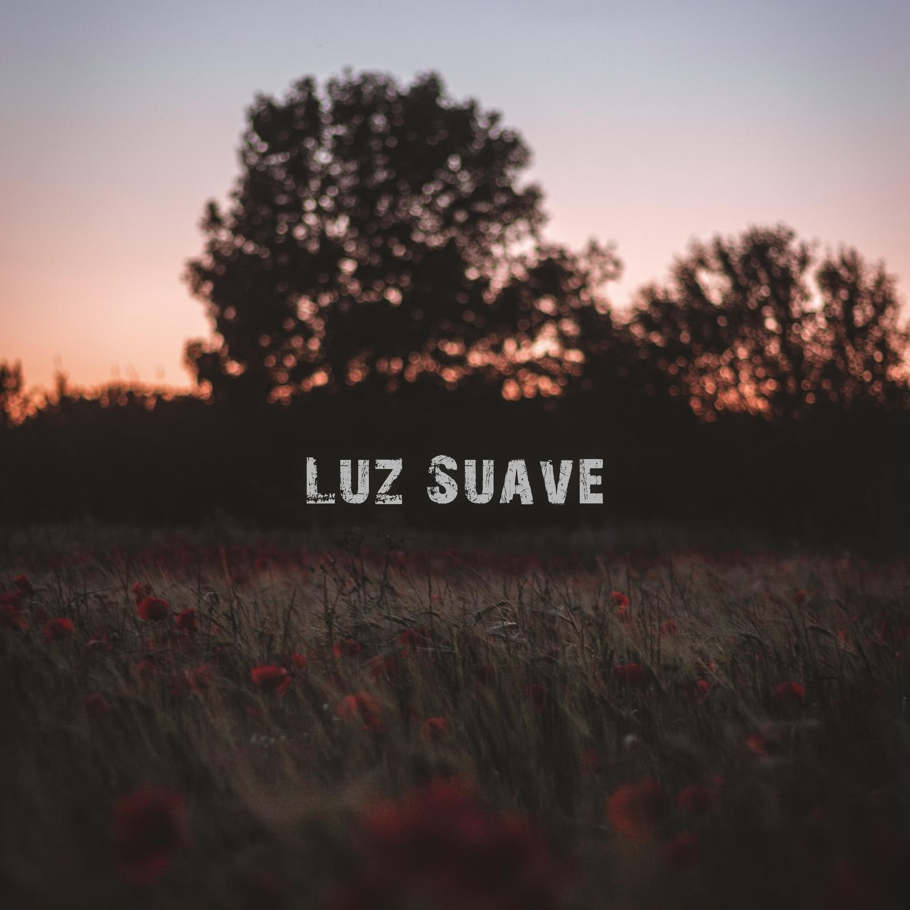Постер альбома Luz Suave
