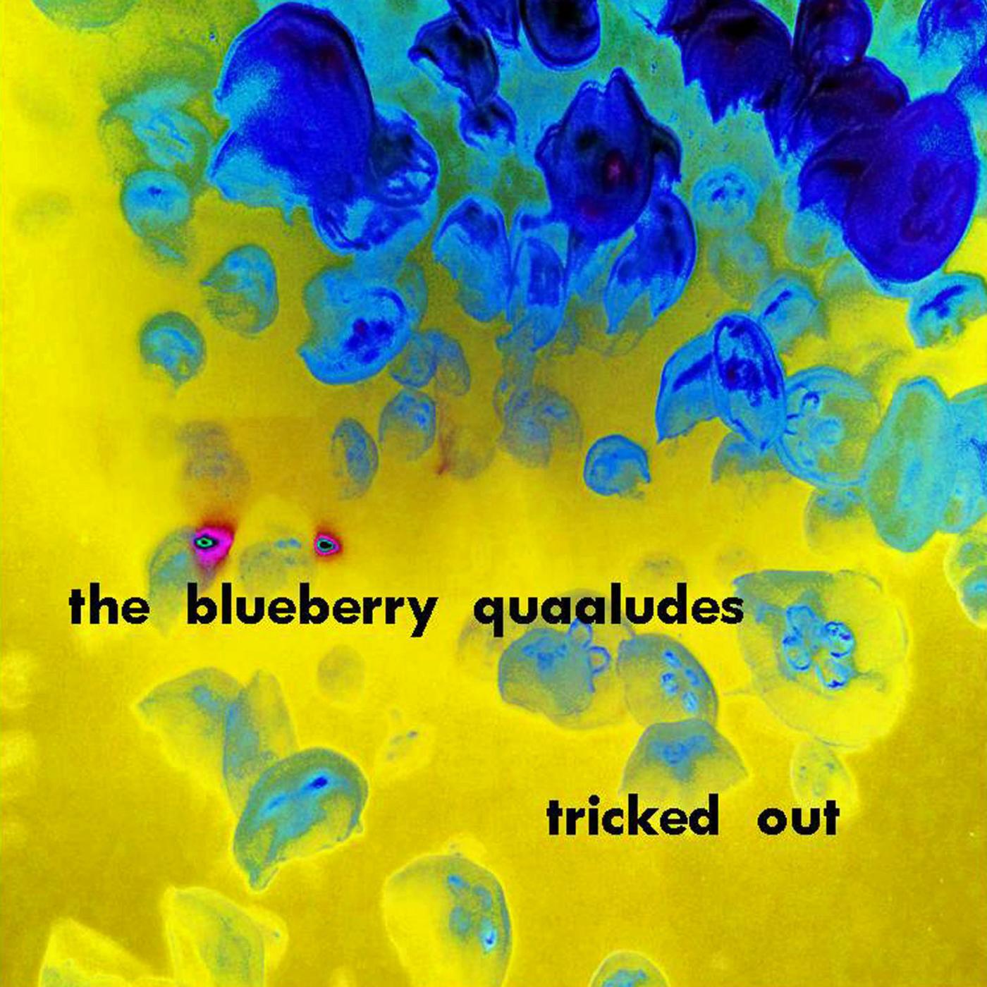 The Blueberry Quaaludes - Gray Sunset