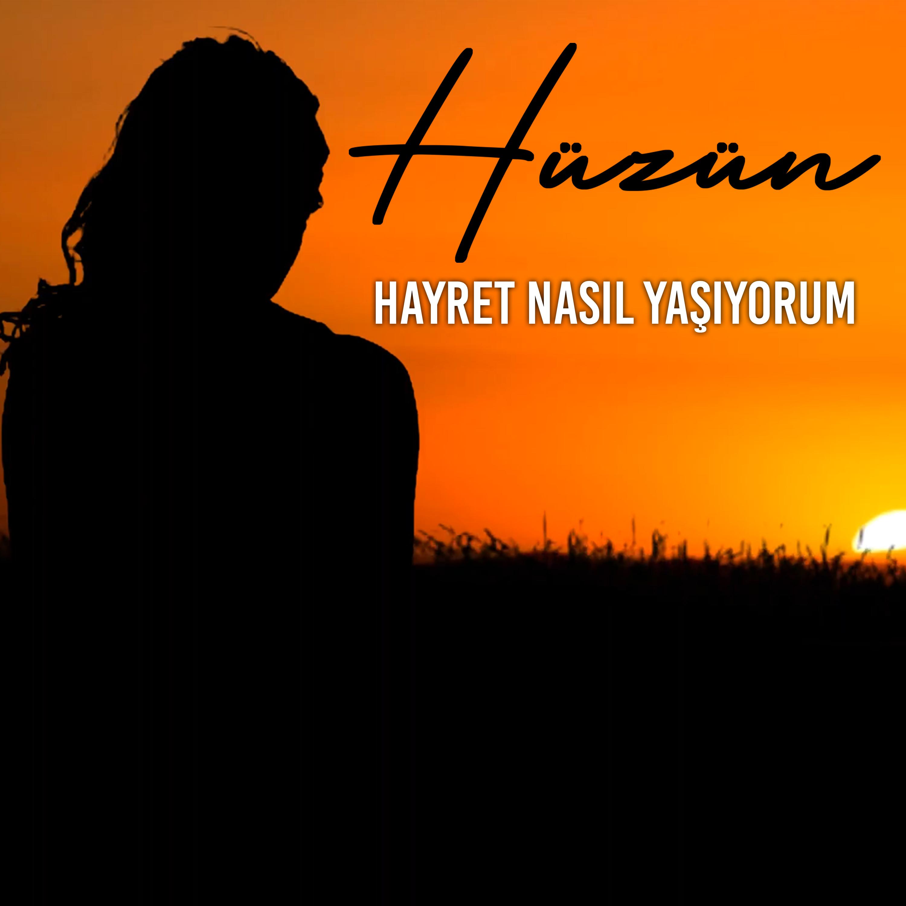 Постер альбома Hayret Nasıl Yaşıyorum