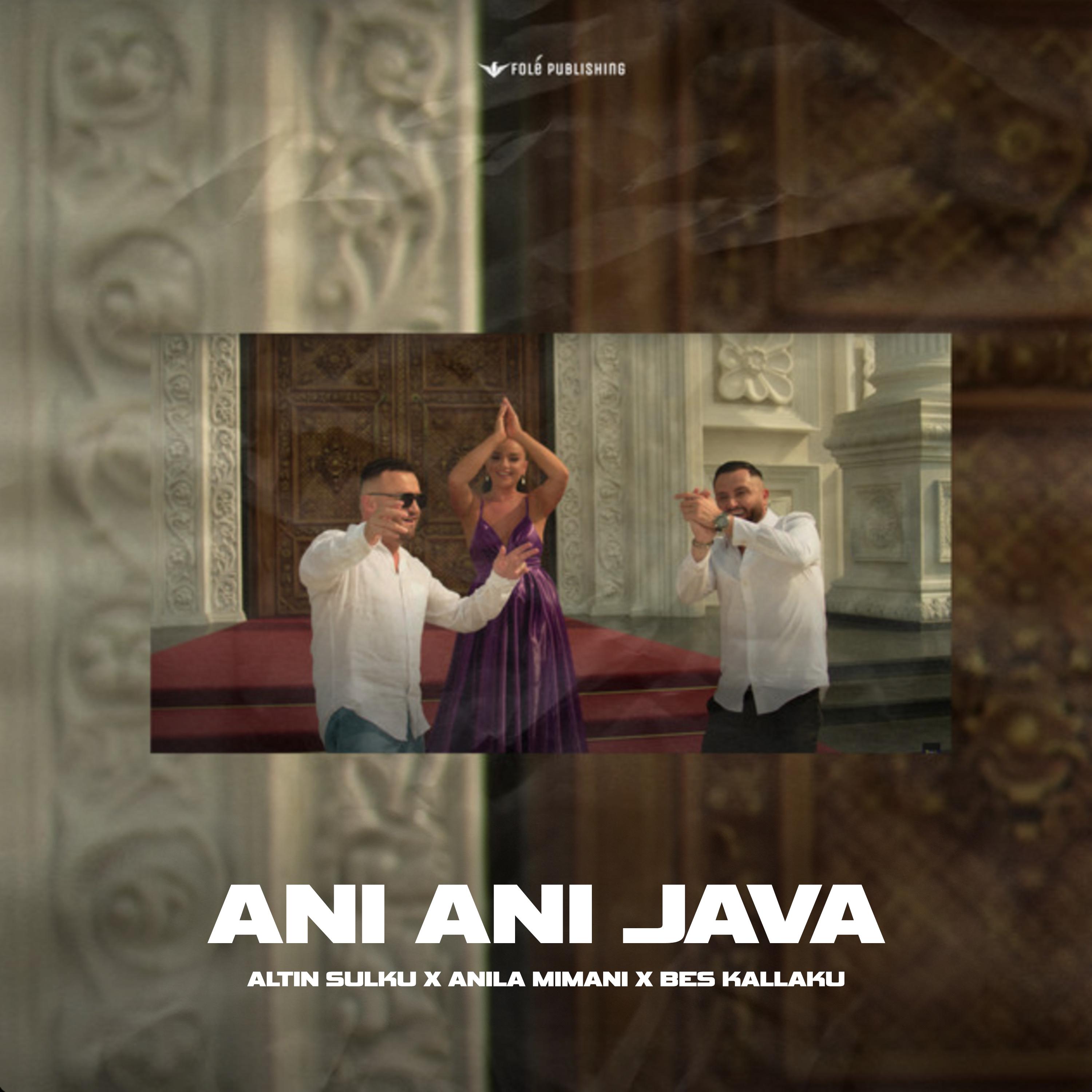 Постер альбома Ani Ani Java