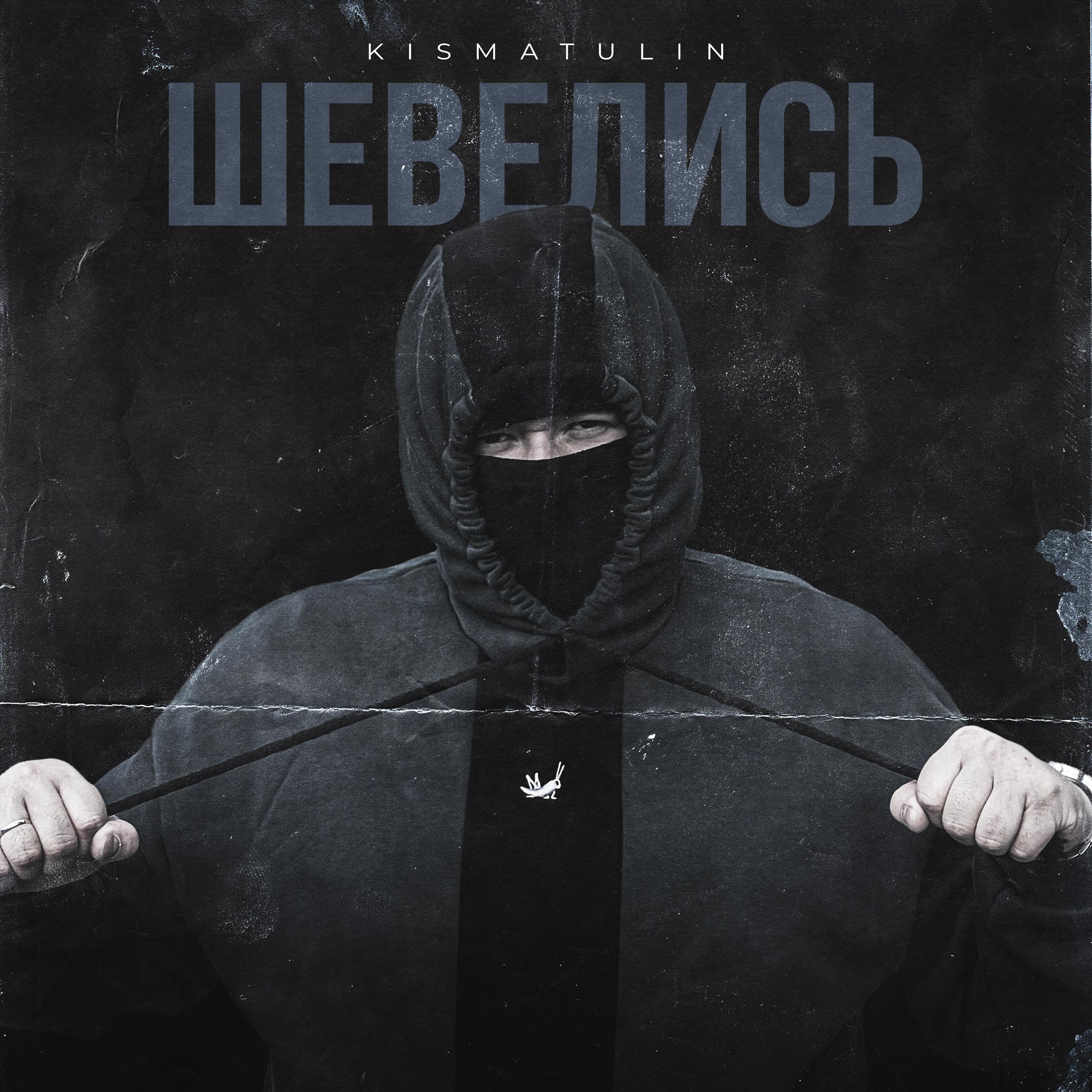 Постер альбома ШЕВЕЛИСЬ