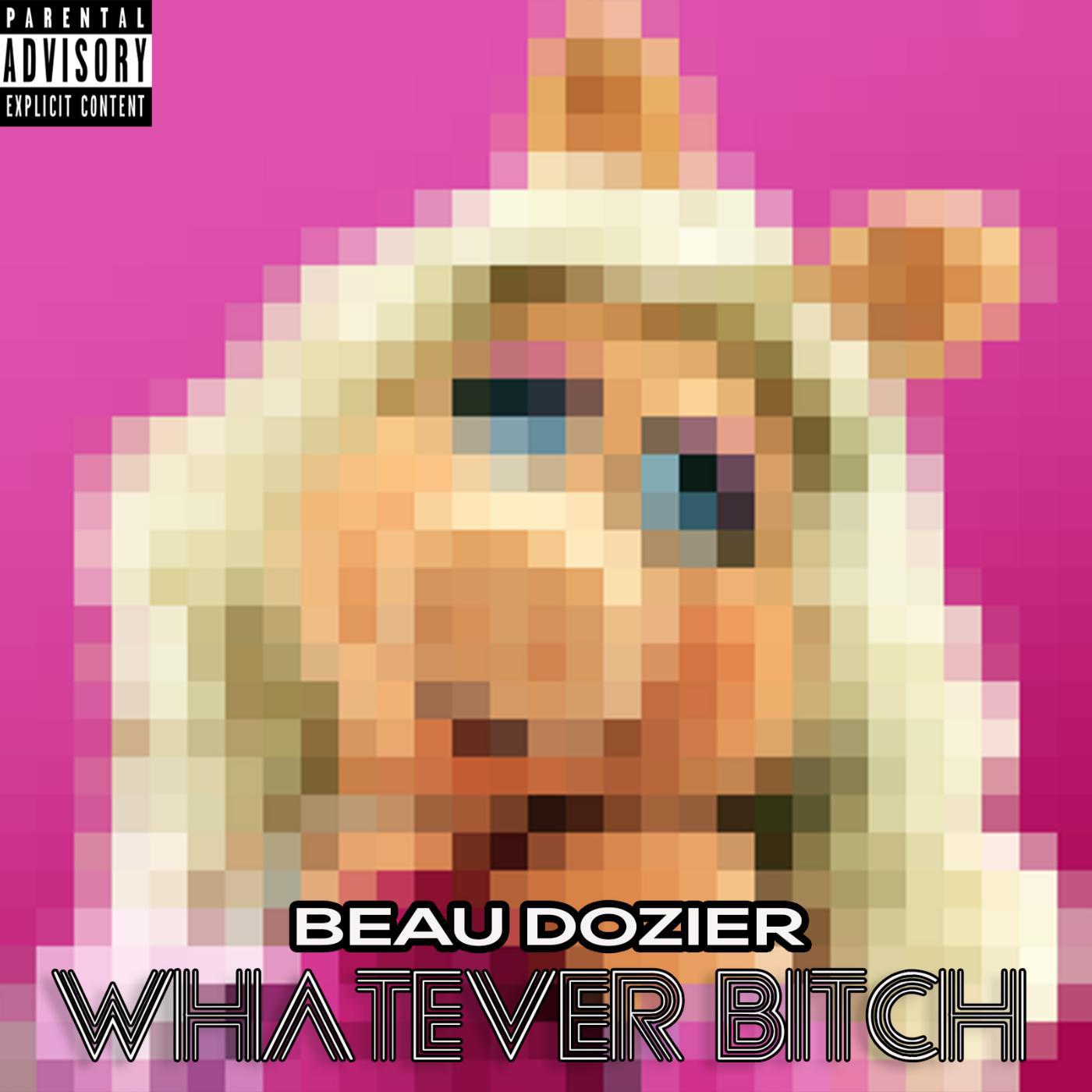 Постер альбома Whatever Bitch