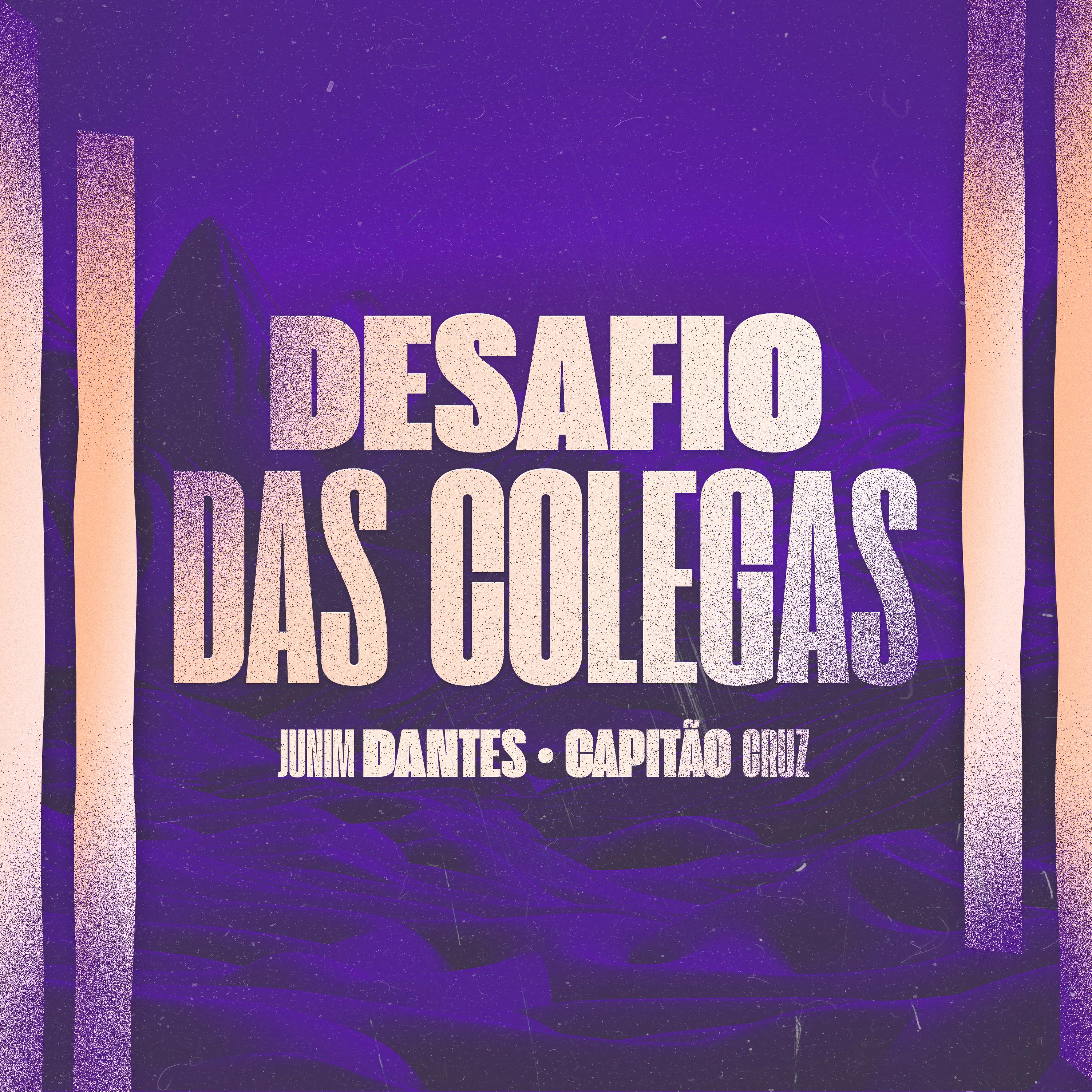 Постер альбома Desafio das Colegas