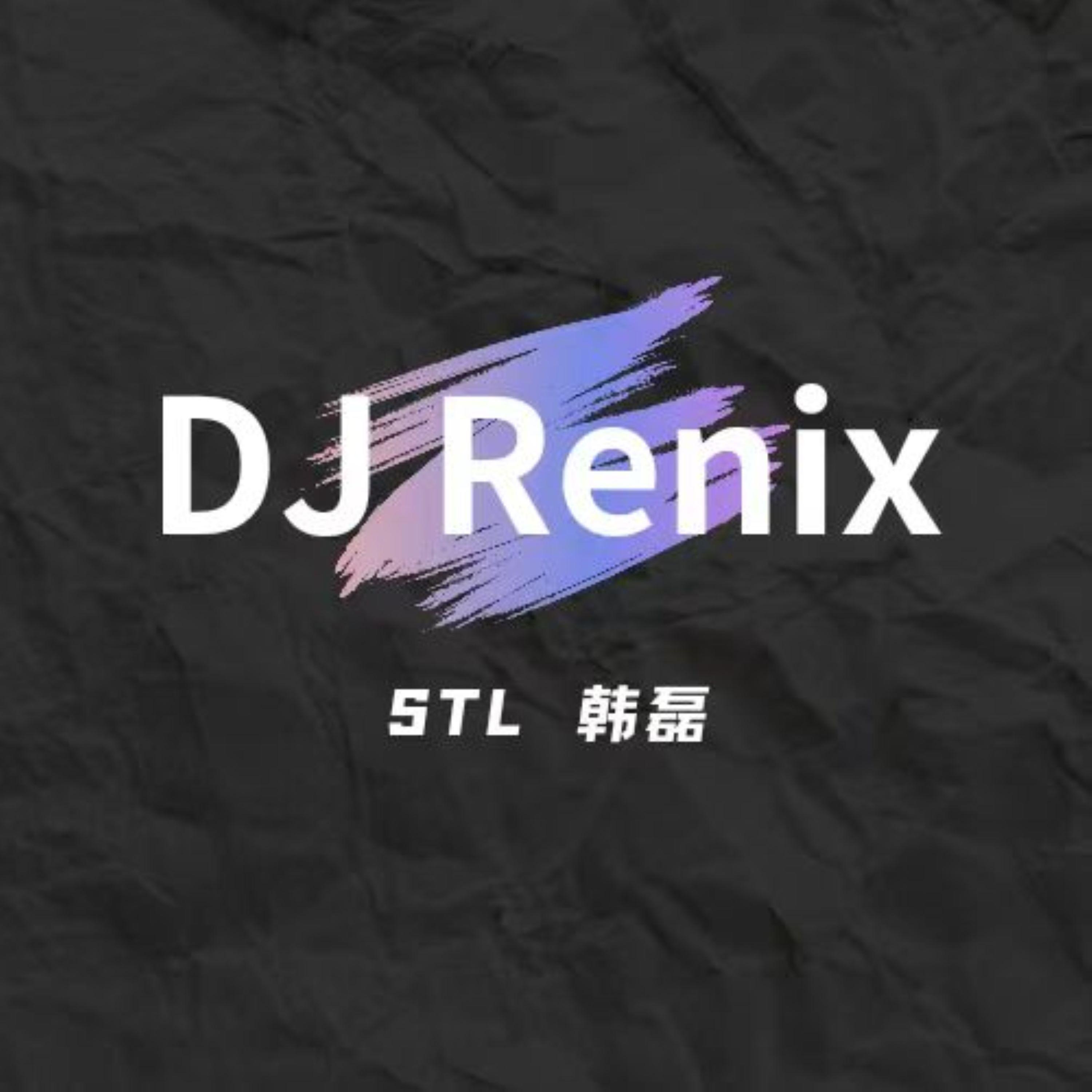 Постер альбома DJ Renix