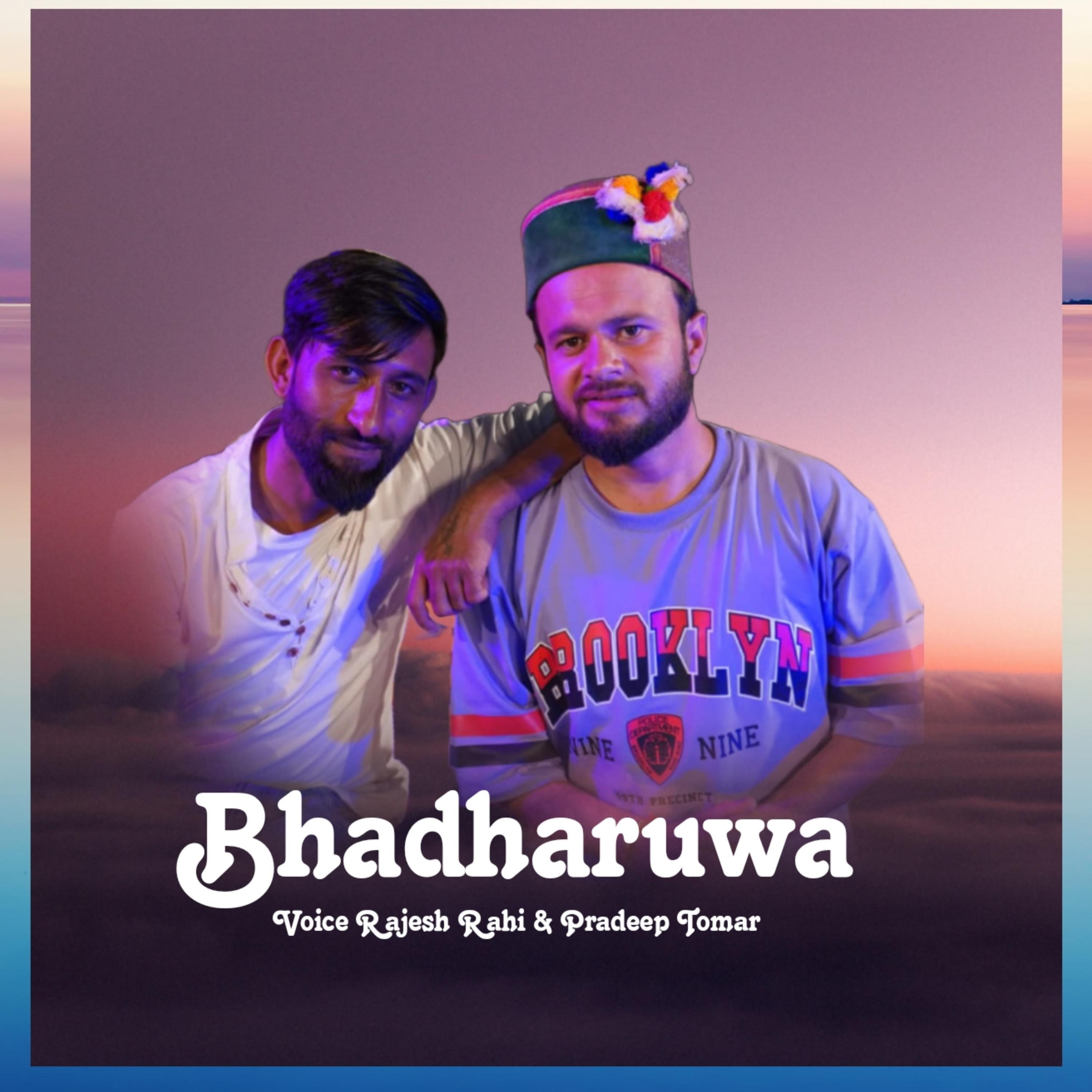Постер альбома Bhadharuwa
