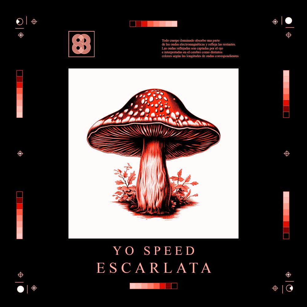 Постер альбома Escarlata