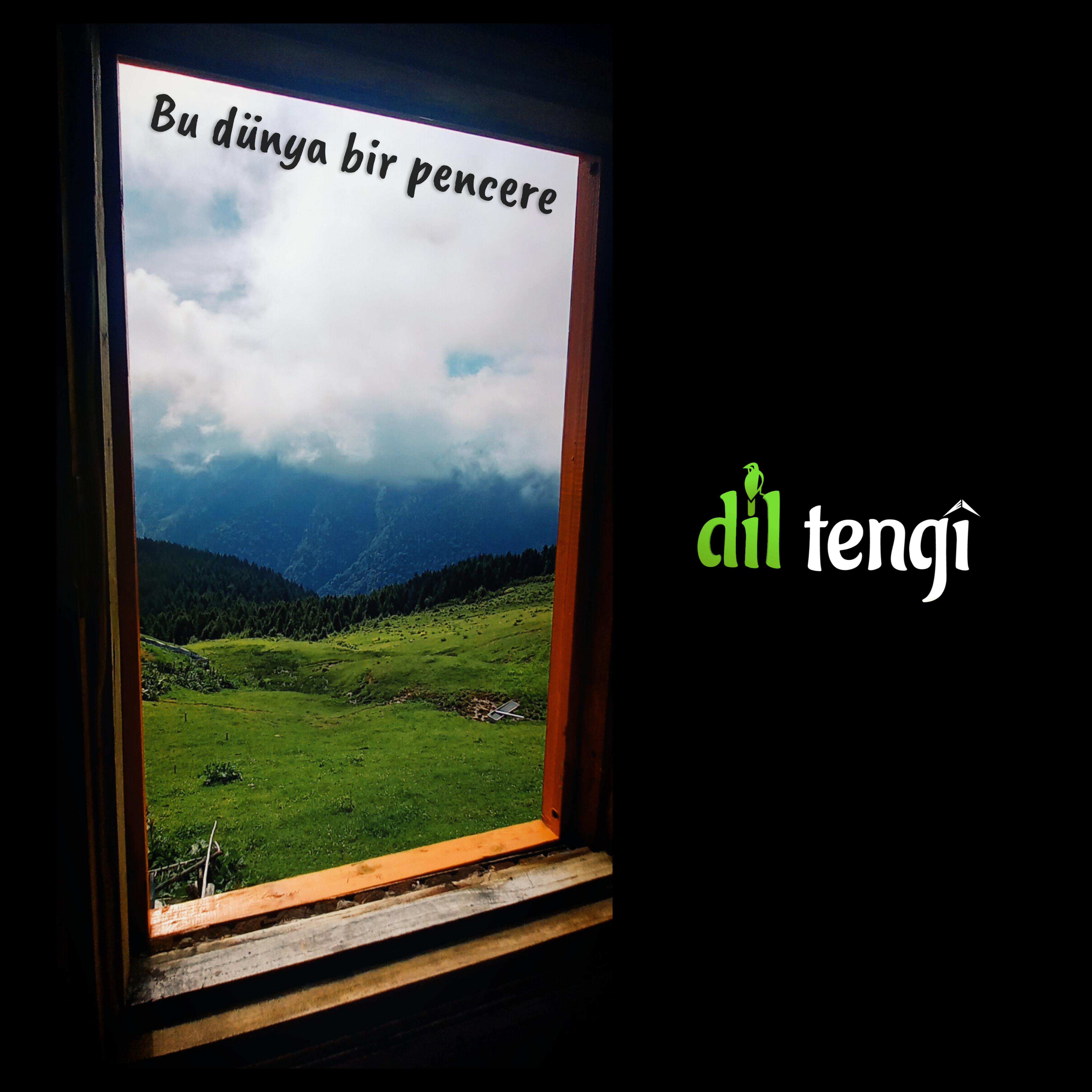 Постер альбома Bu Dünya Bir Pencere