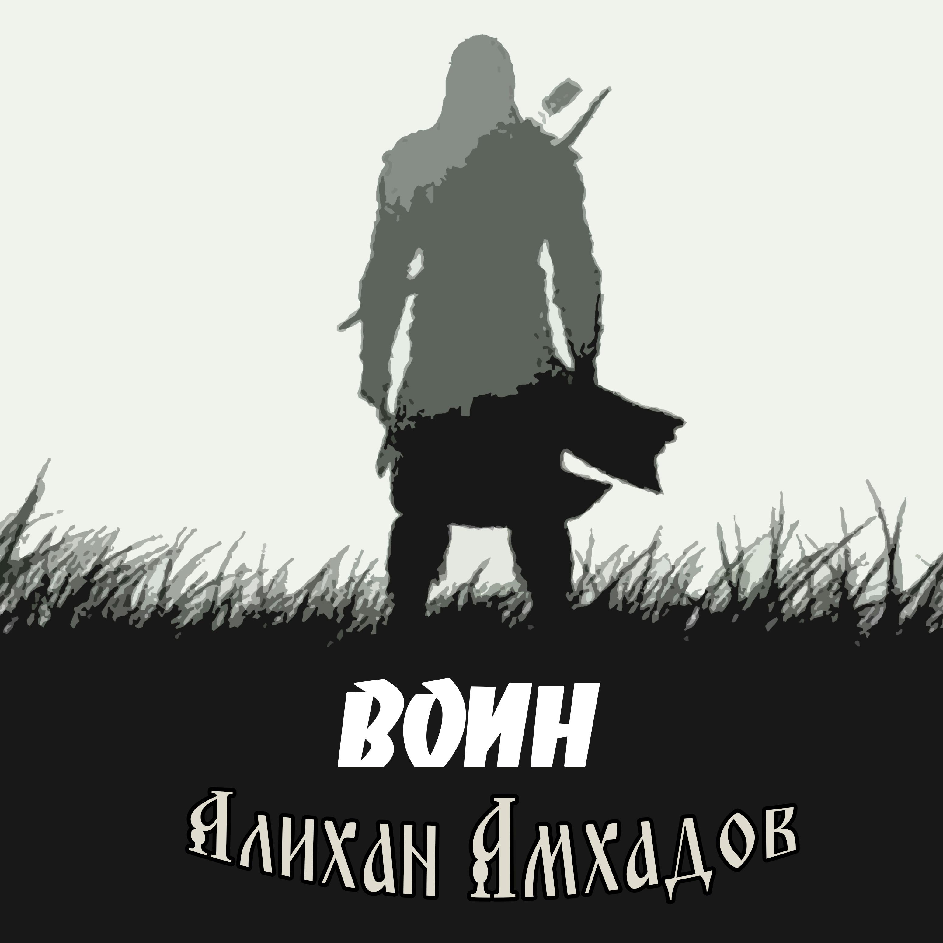 Постер альбома Воин