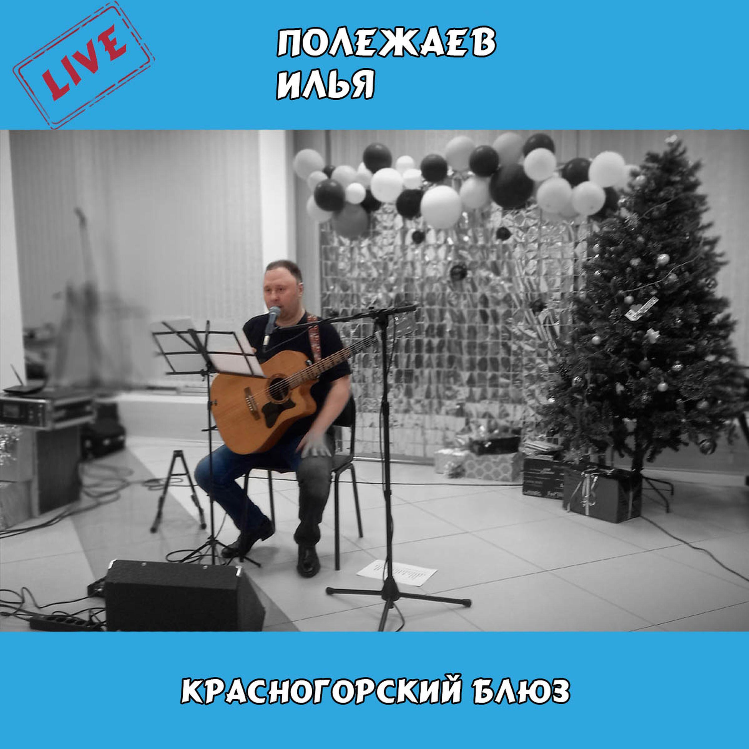 Постер альбома Красногорский блюз (Live)