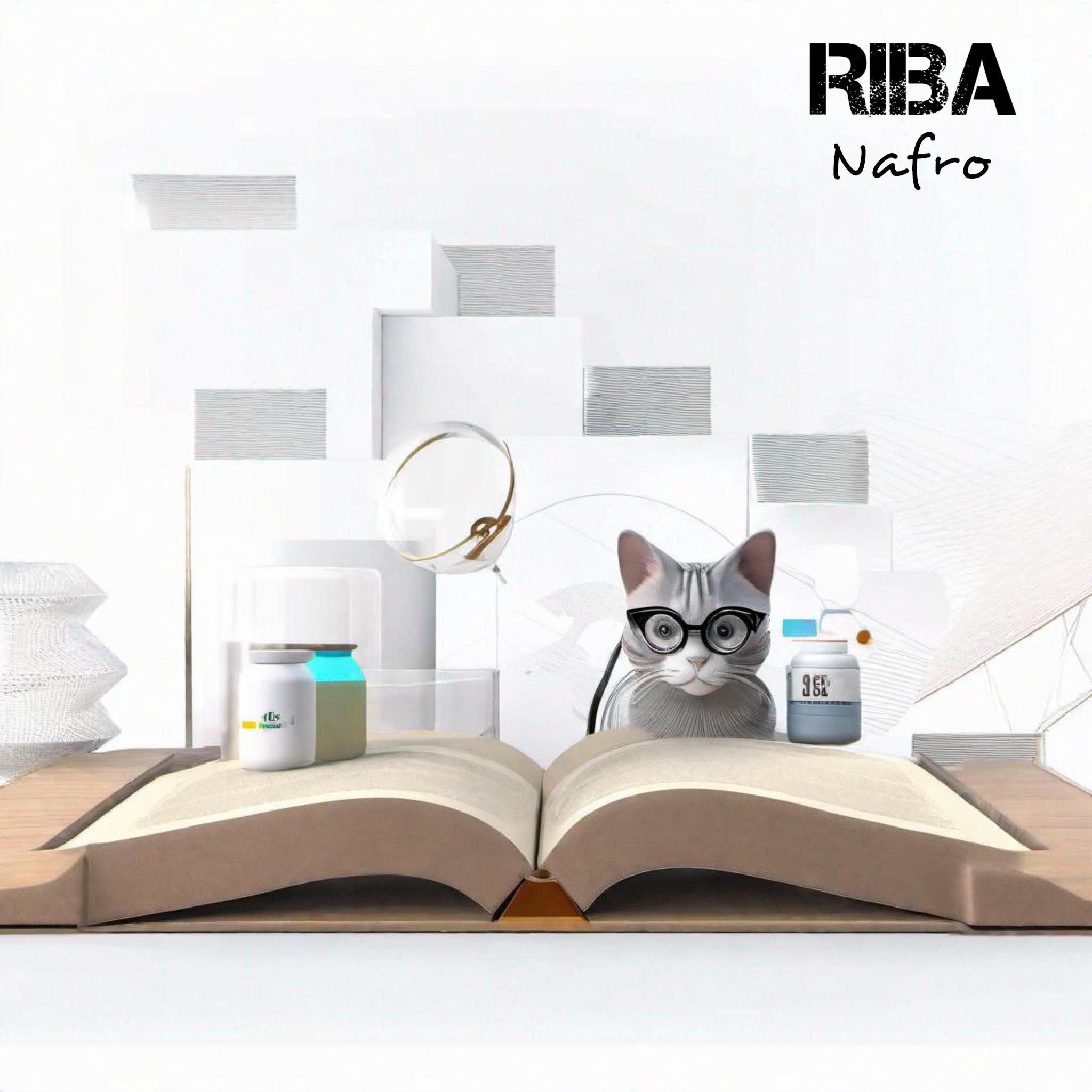 Постер альбома RIBA