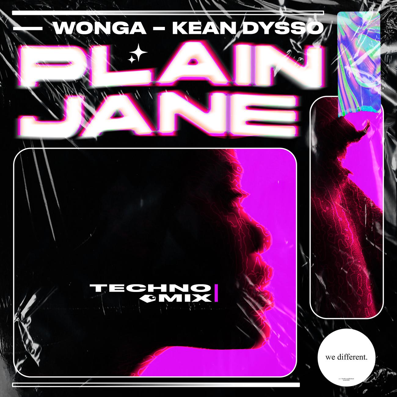 Постер альбома Plain Jane (TECHNO MIX)