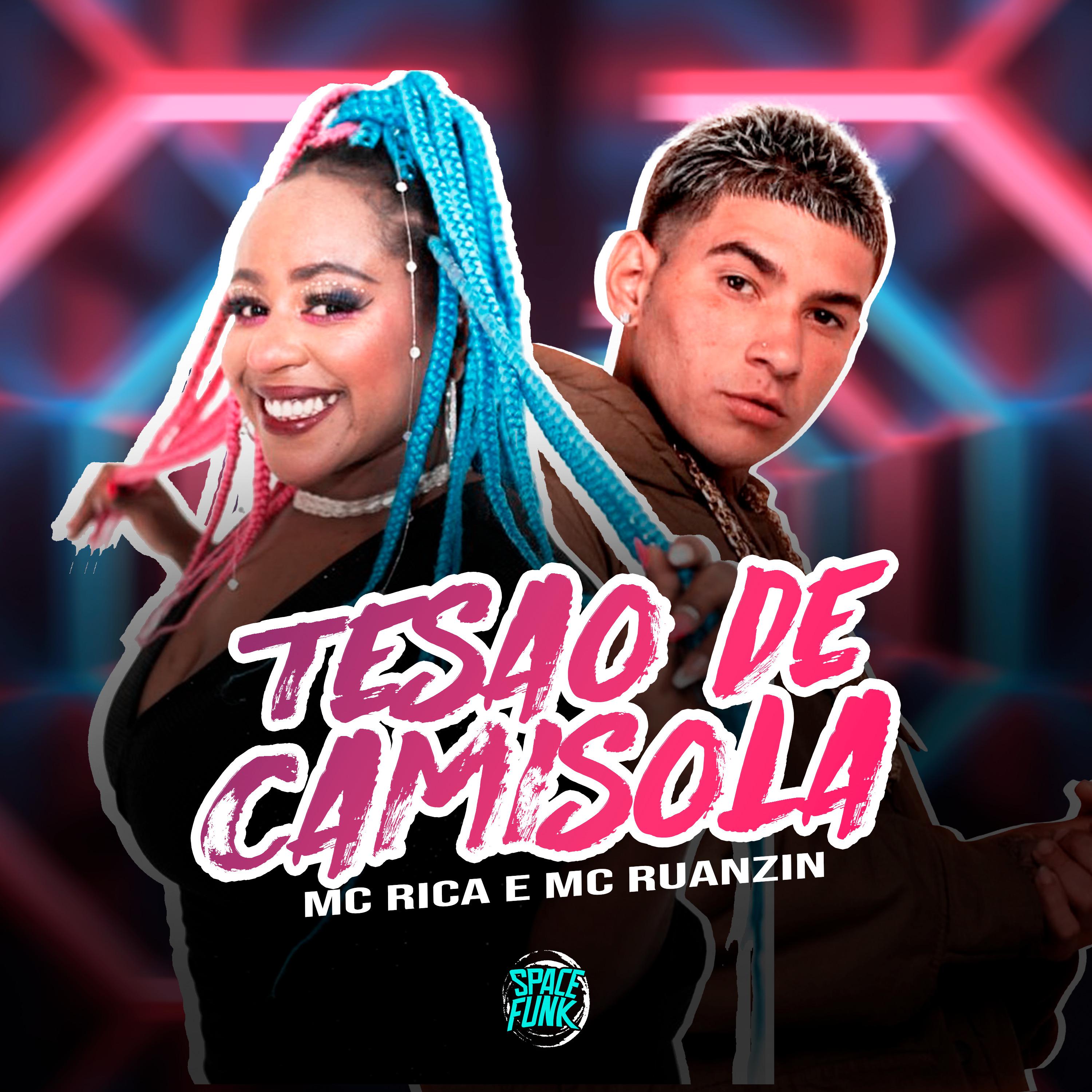 Постер альбома Tesão de Camisola