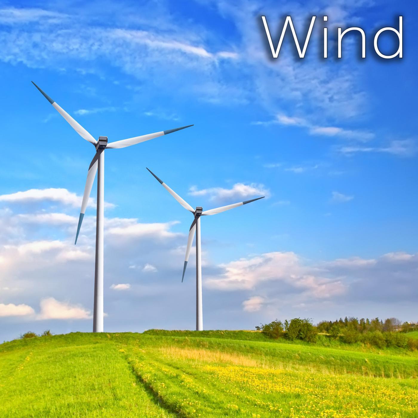 Tmsoft's White Noise Sleep Sounds - Wind Blowing