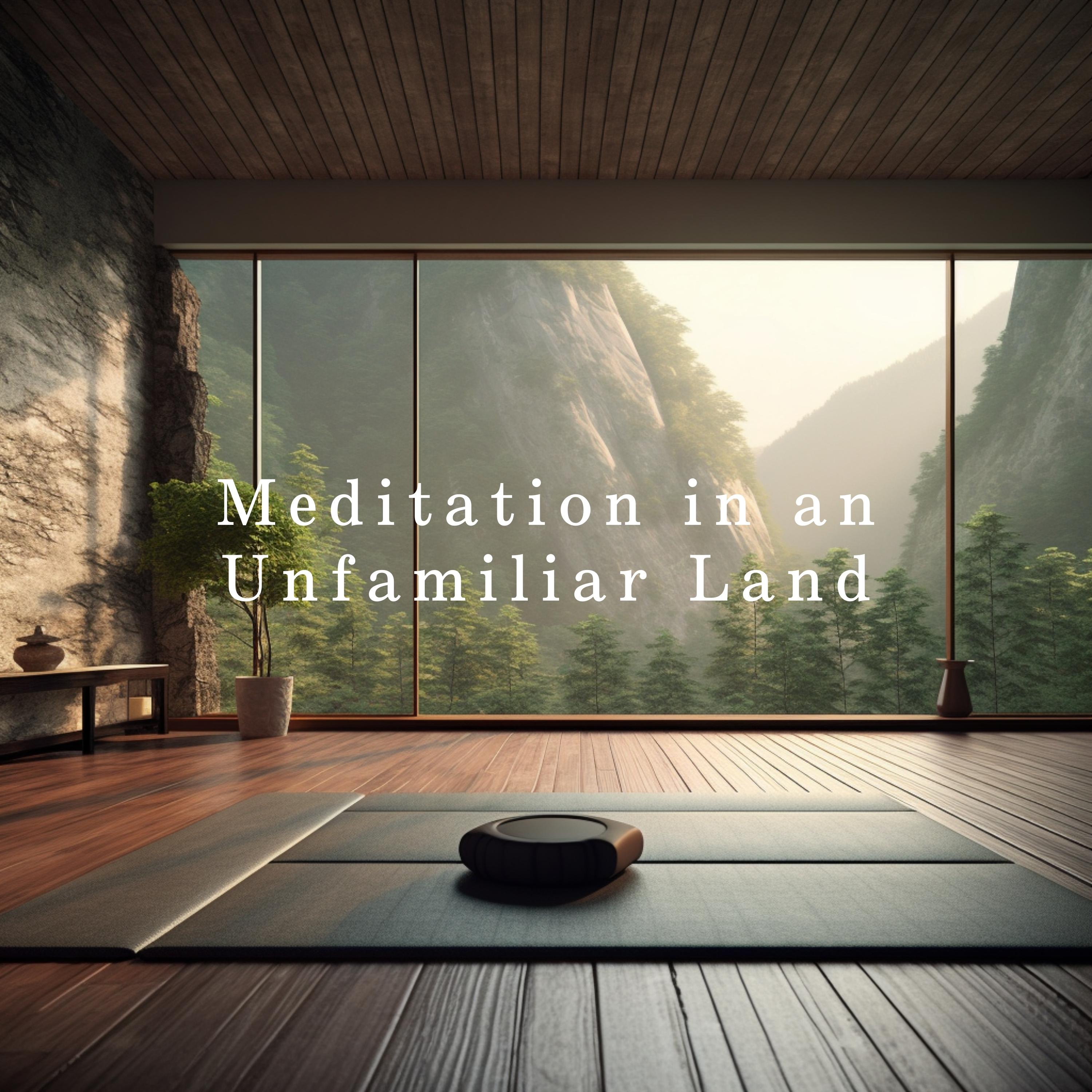 Постер альбома Meditation in an Unfamiliar Land