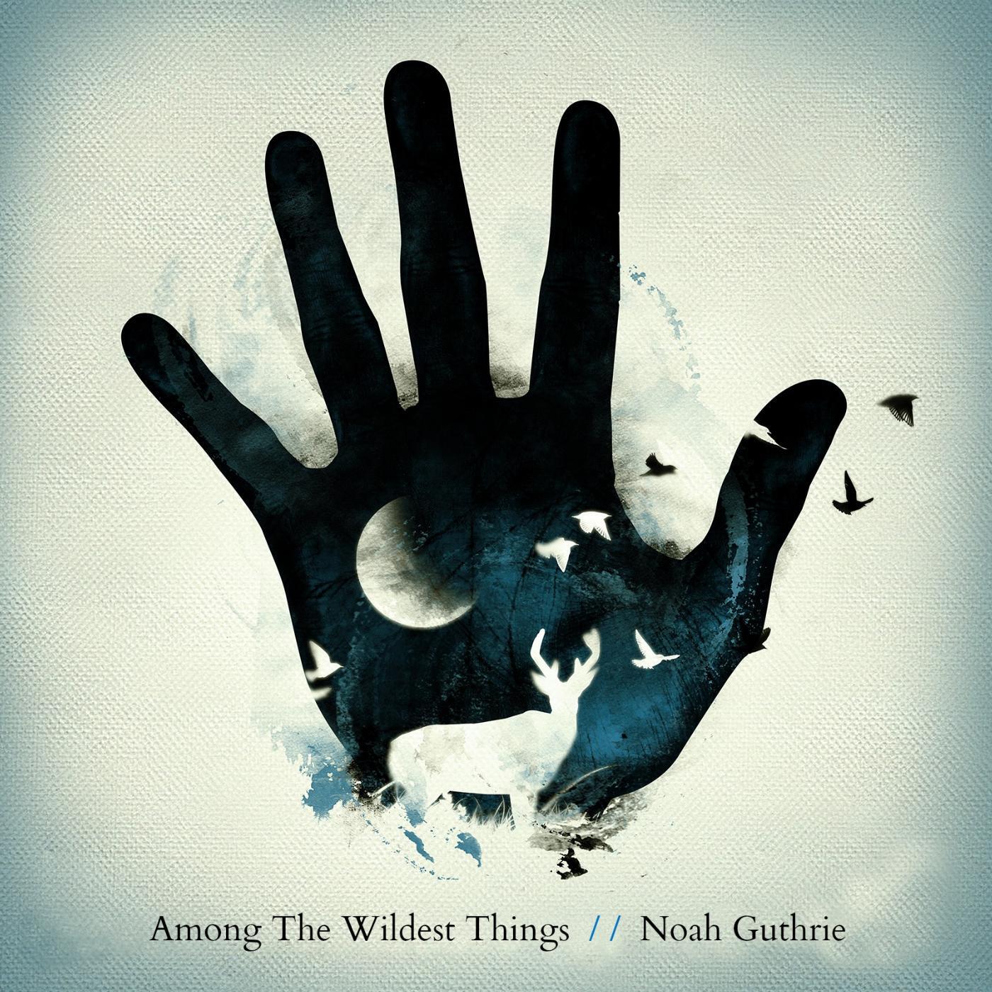 Noah Guthrie - My Favorite Kind