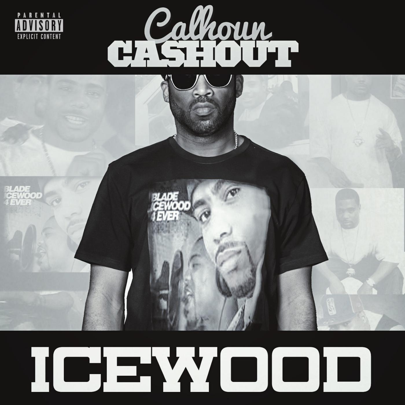 Постер альбома Icewood
