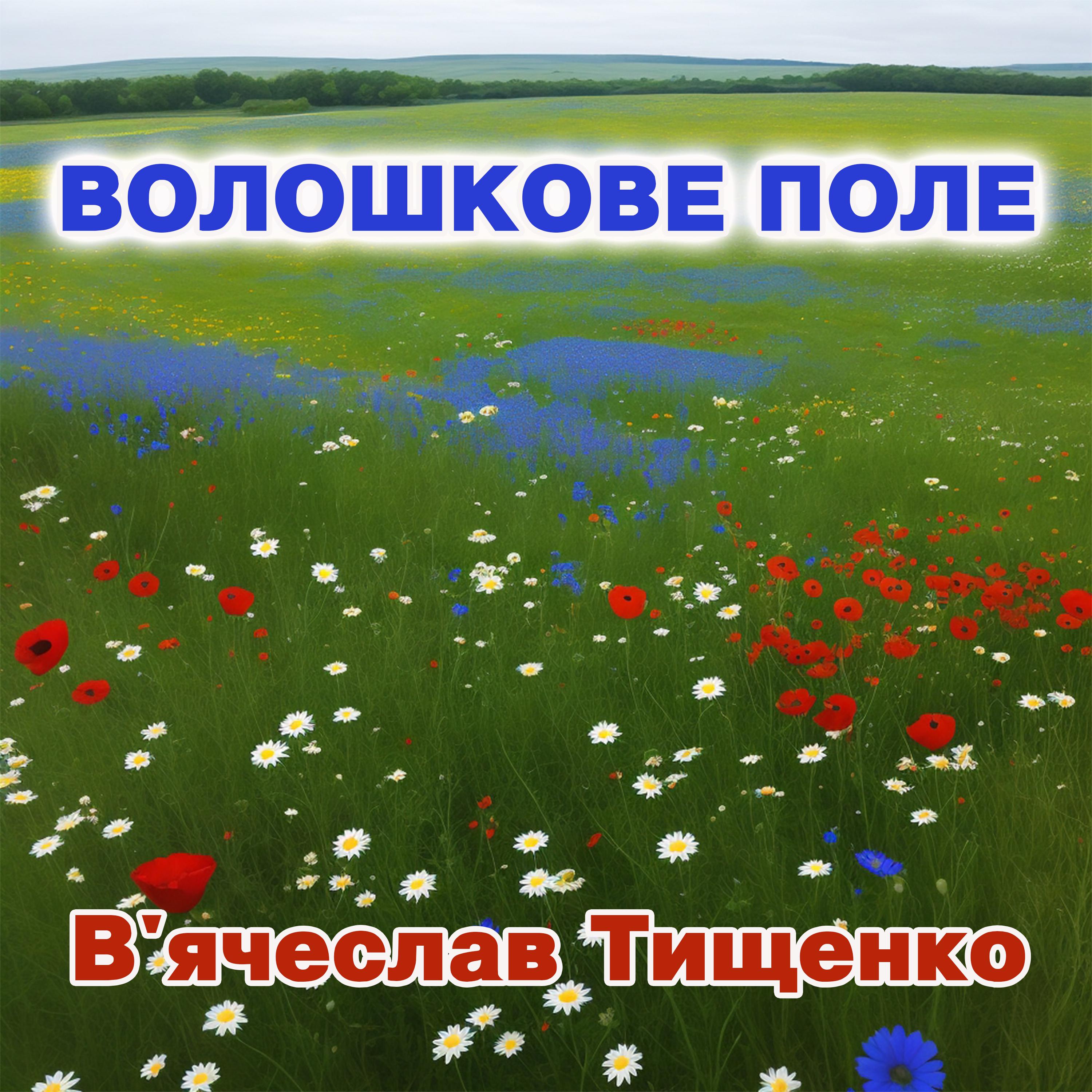 Постер альбома Волошкове поле