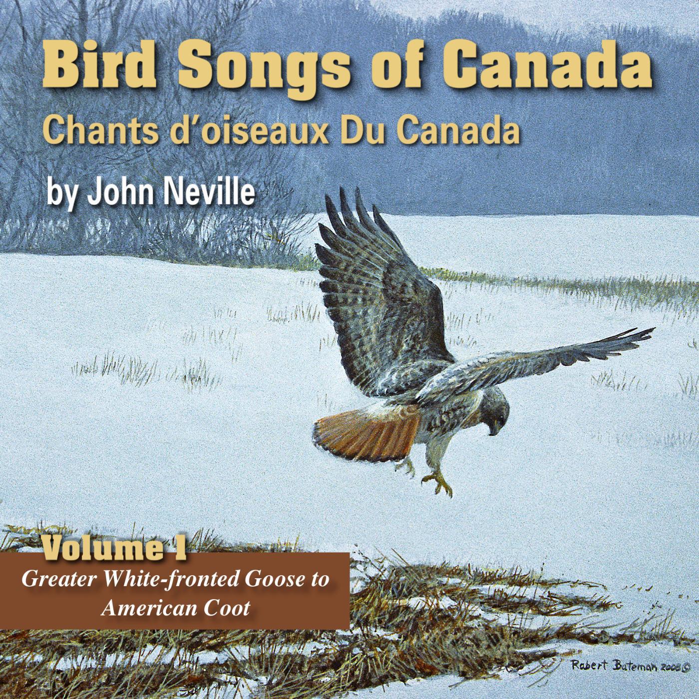 Постер альбома Bird Songs of Canada, Vol. 1