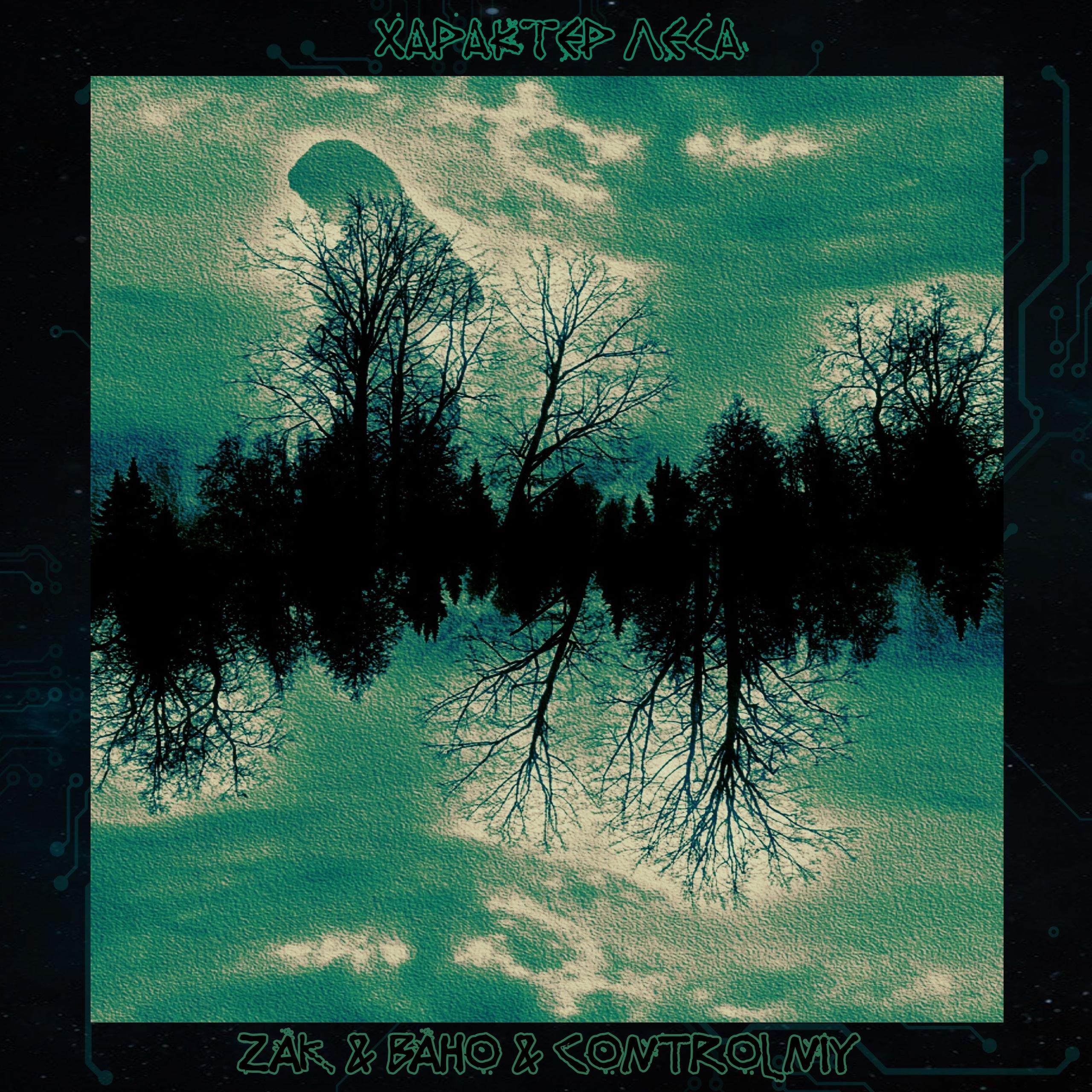 Постер альбома Характер леса