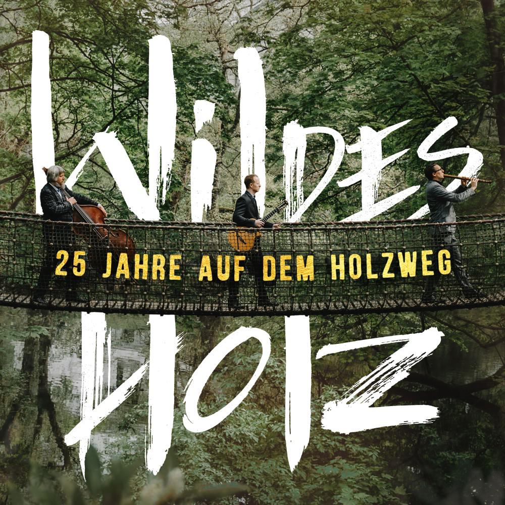Постер альбома 25 Jahre auf dem Holzweg