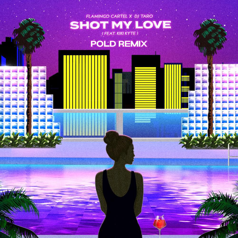 Постер альбома Shot My Love (Pold Remix)