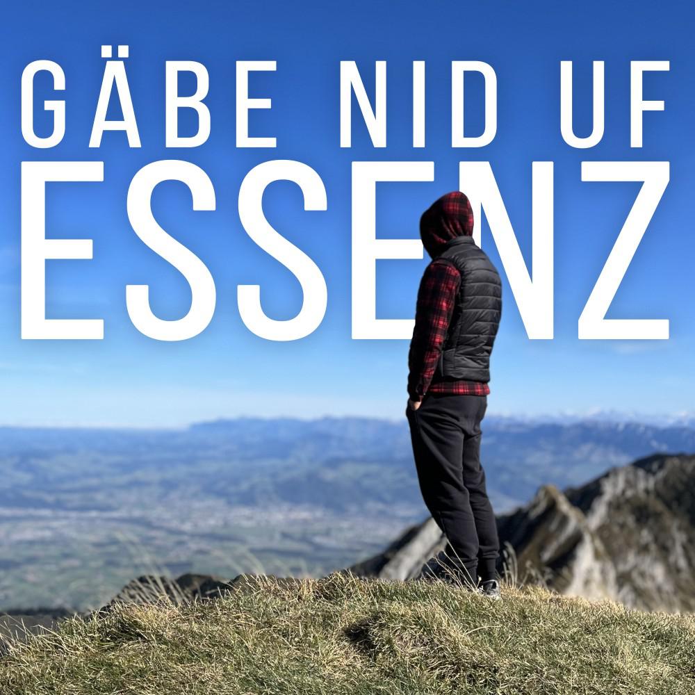 Постер альбома Gäbe Nid Uf