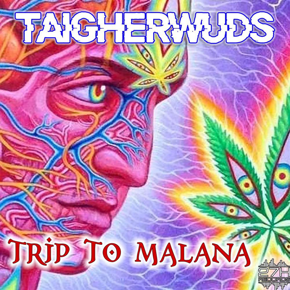 Постер альбома Trip to Malana