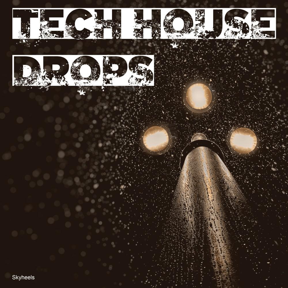 Постер альбома Tech House Drops