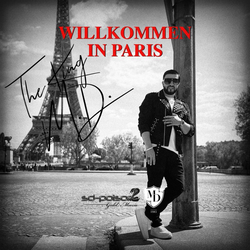 Постер альбома Willkommen in Paris