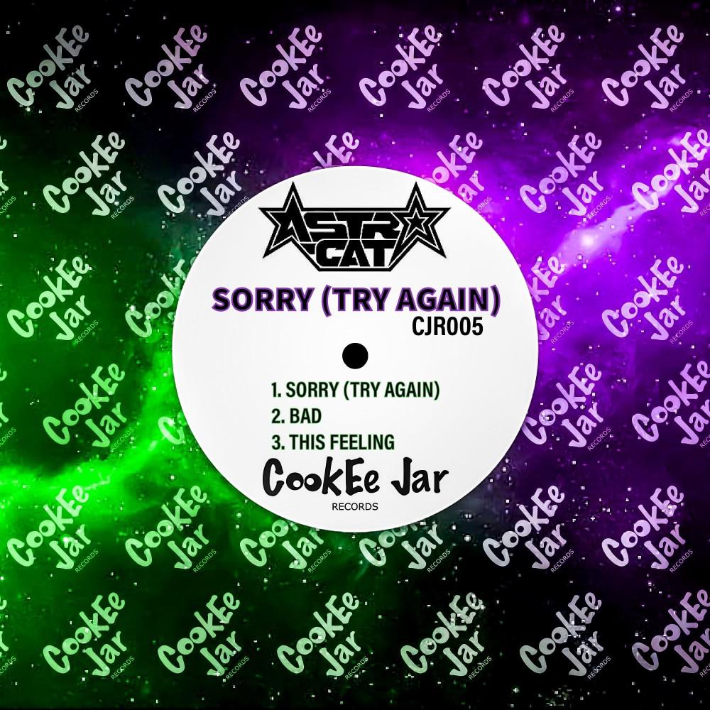 Постер альбома Sorry (Try Again) [Original Mix]