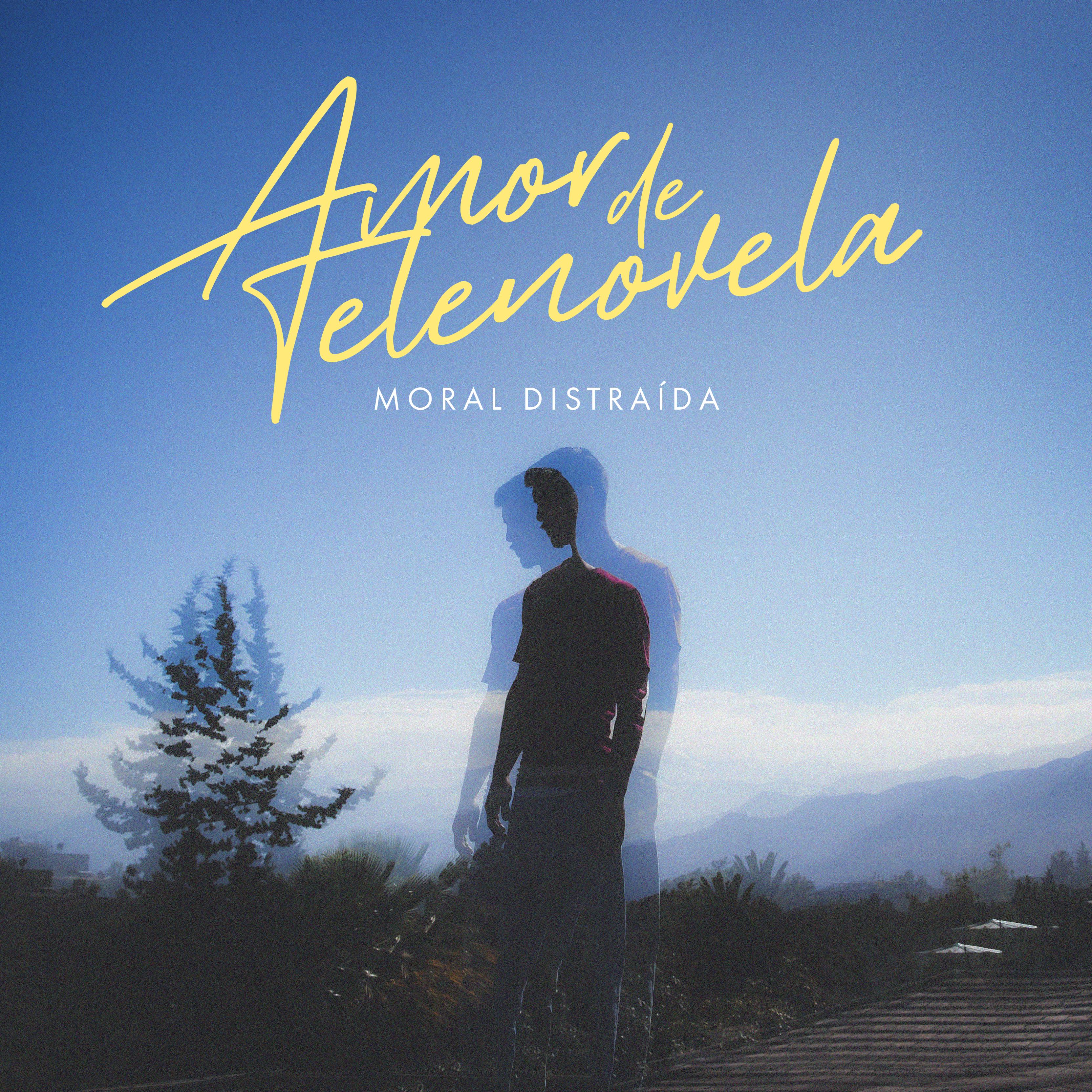 Постер альбома Amor de Telenovela