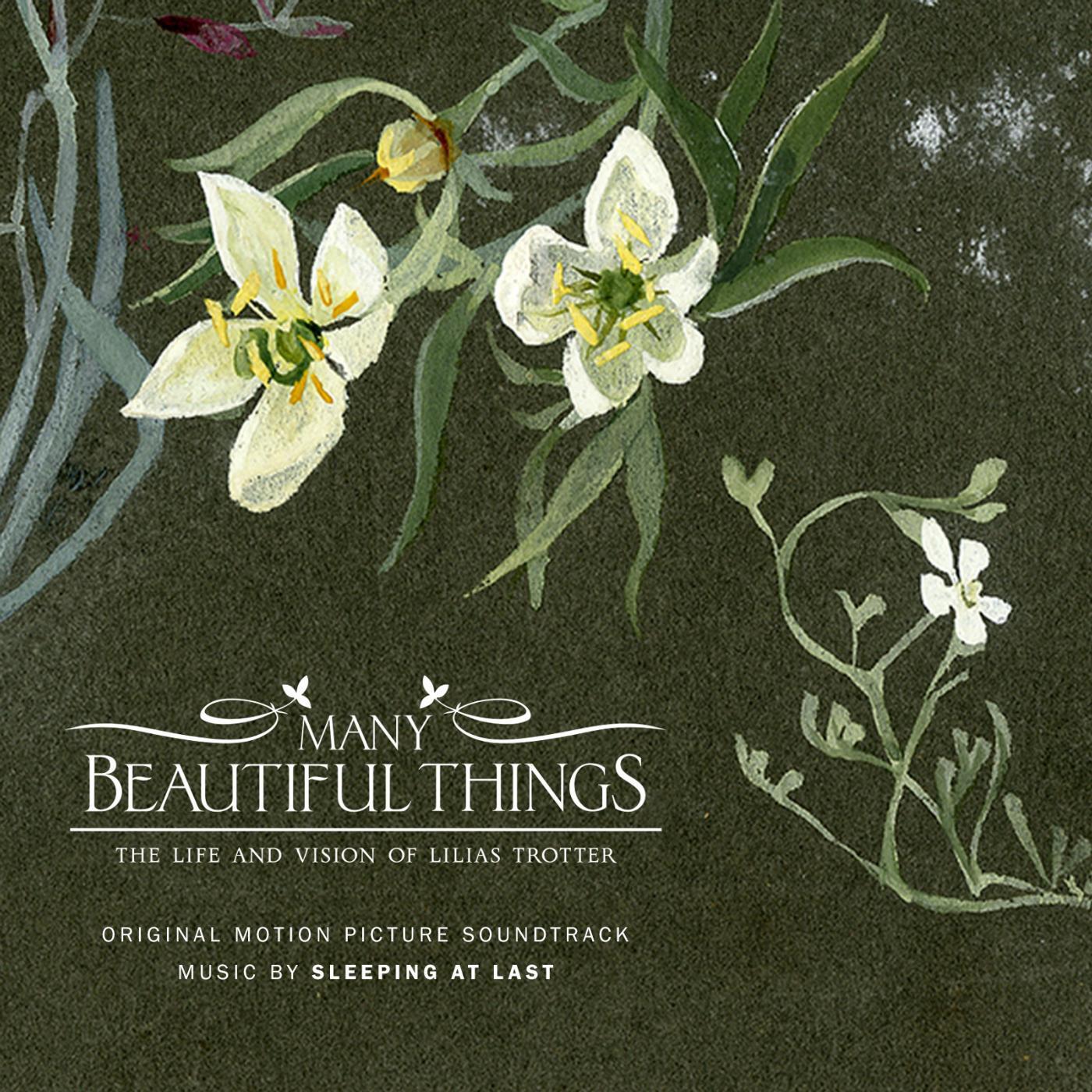 Sleeping At Last - Colorless